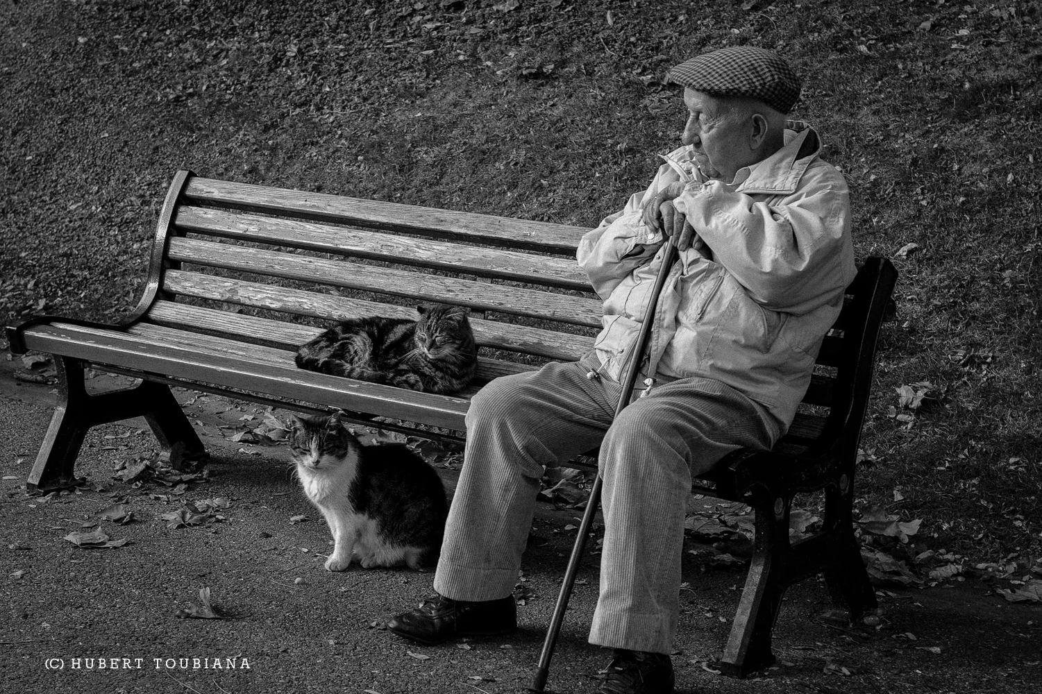 OLD MAN WITH TWO CATS / RETRAITÉ AVEC SES DEUX CHATS /