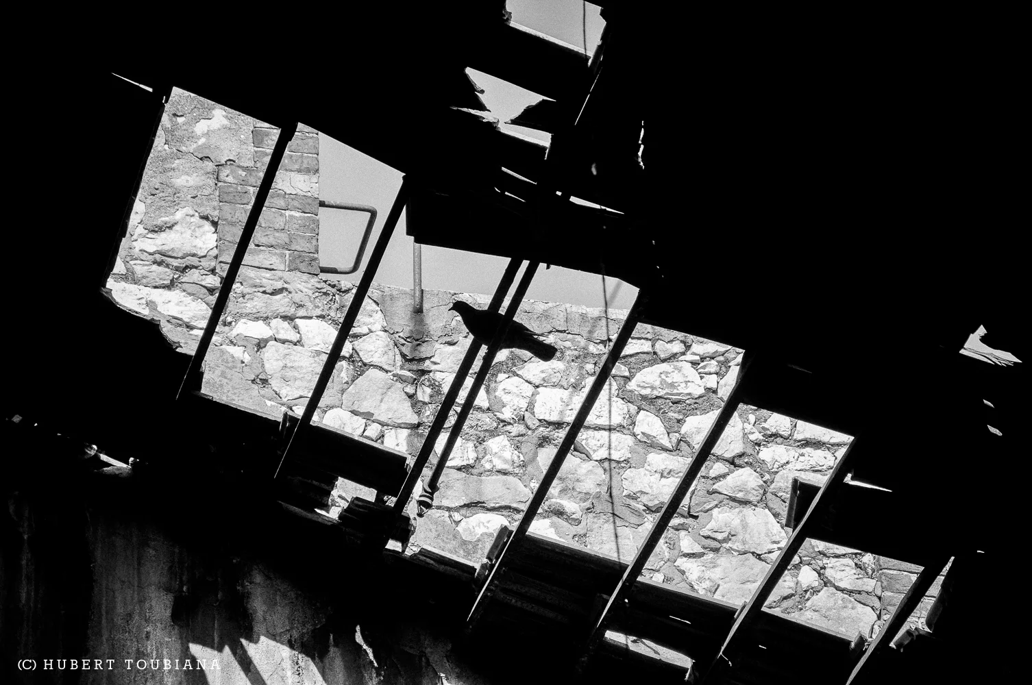 TRANSIT #6 /