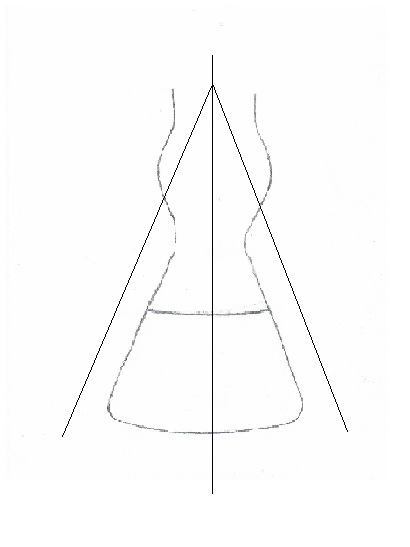 (Fig.2) Hoof wall and pastern.