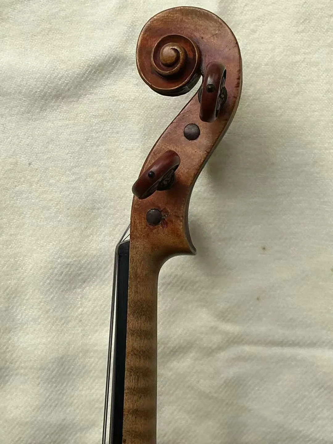 206.JPG