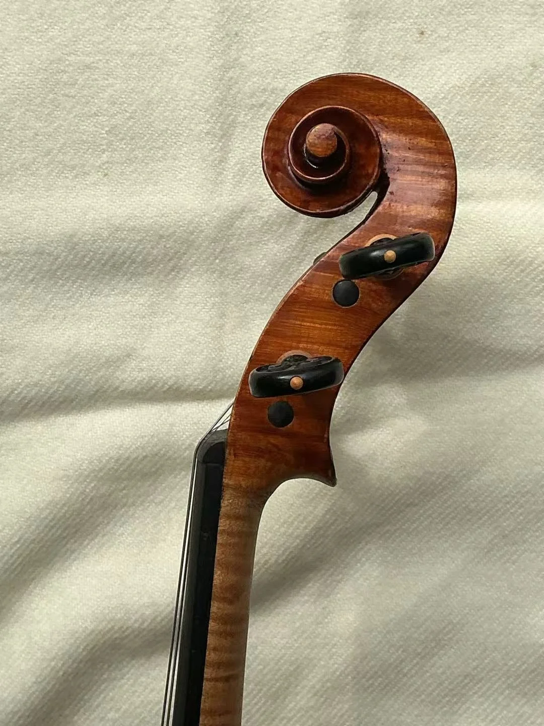 197.JPG