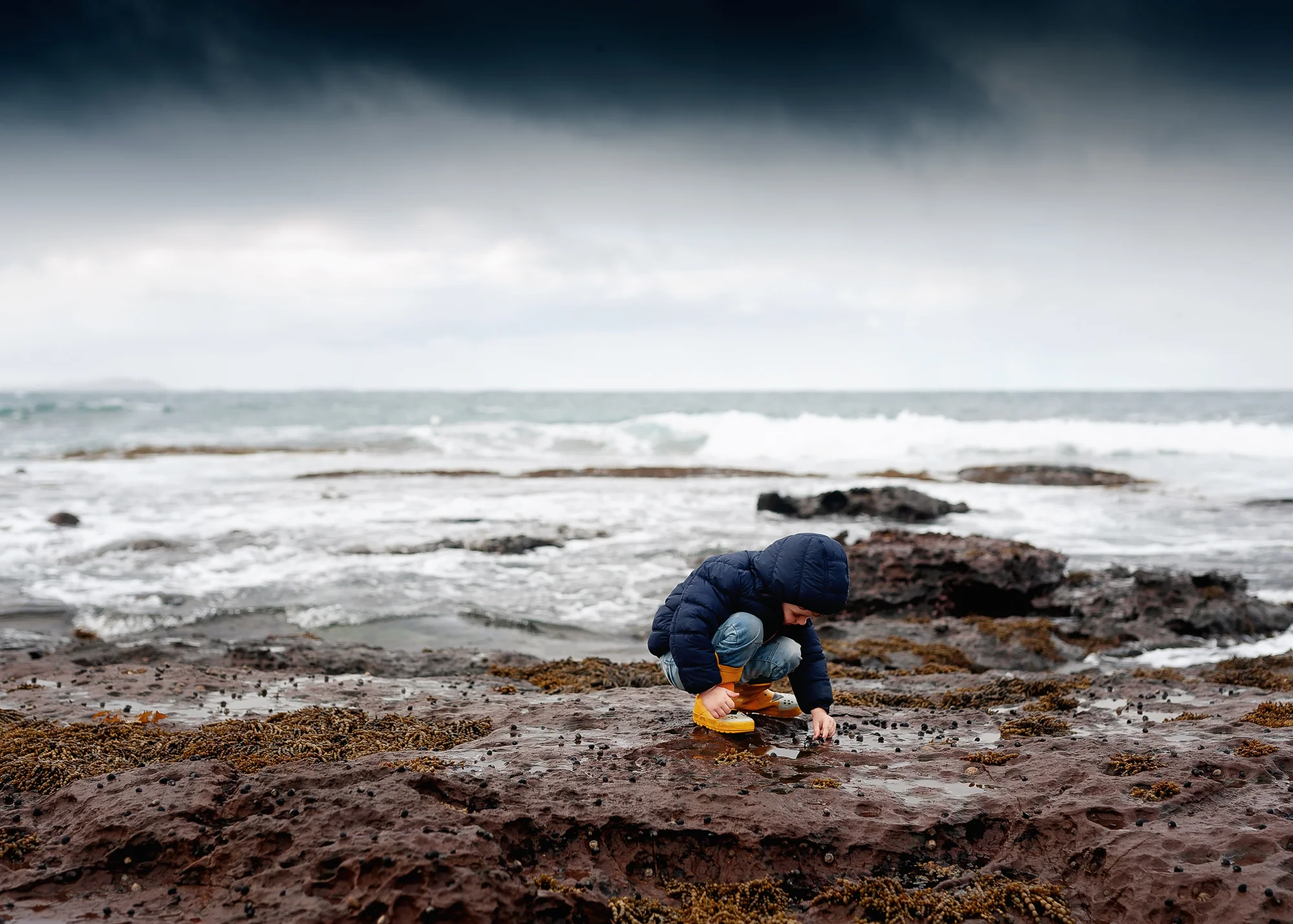 Shellharbour family photographer