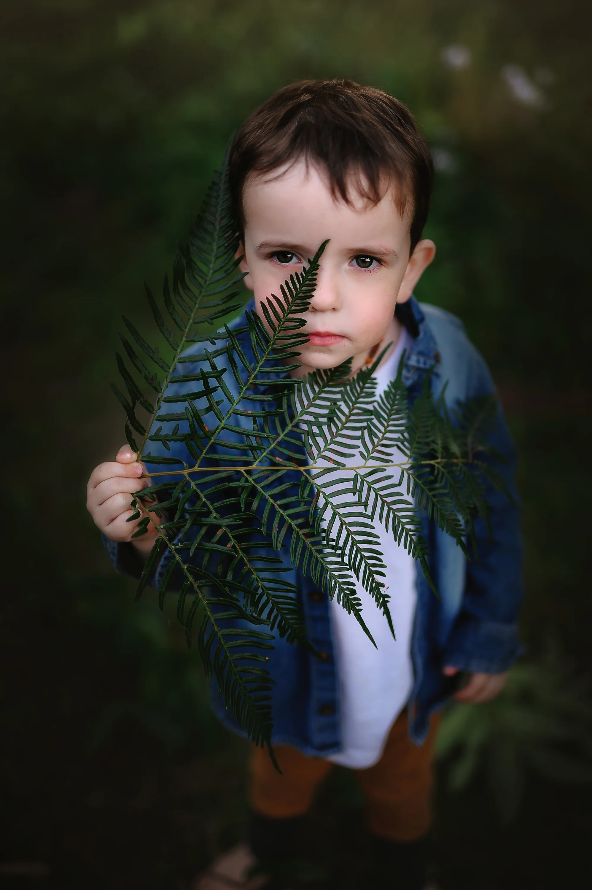 Brisbane family photographer