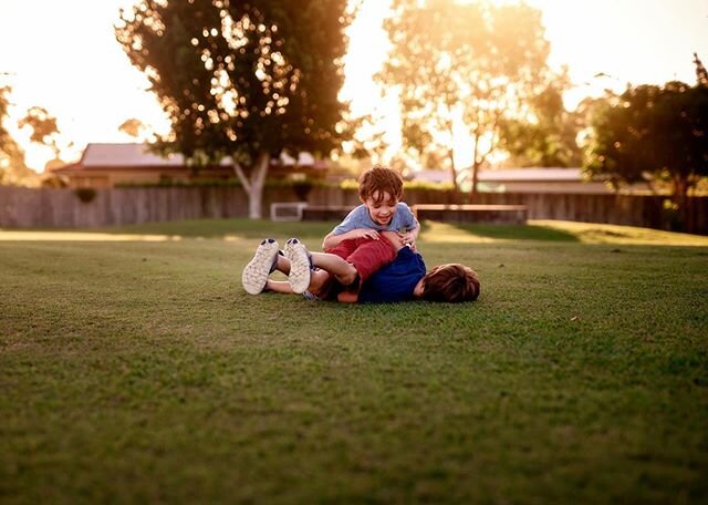 Pretty sure 80% of their bday is spent wresting each other. There are three of them in that pile.