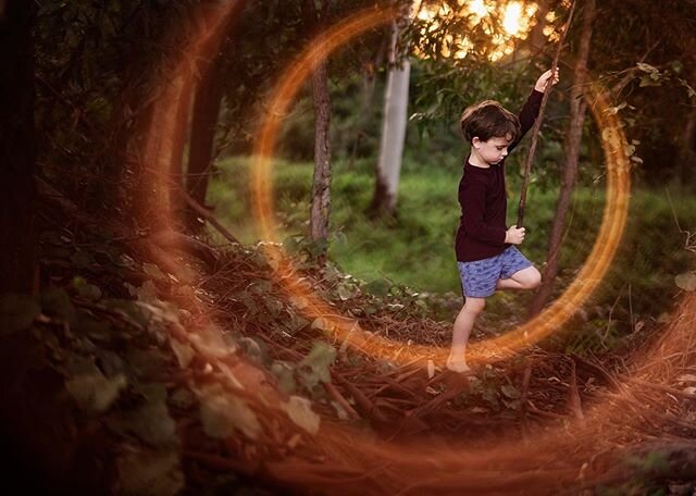 We&rsquo;ve spent each afternoon walking and exploring. We are lucky to have a great bush reserve near us that the boys can play and exercise in.