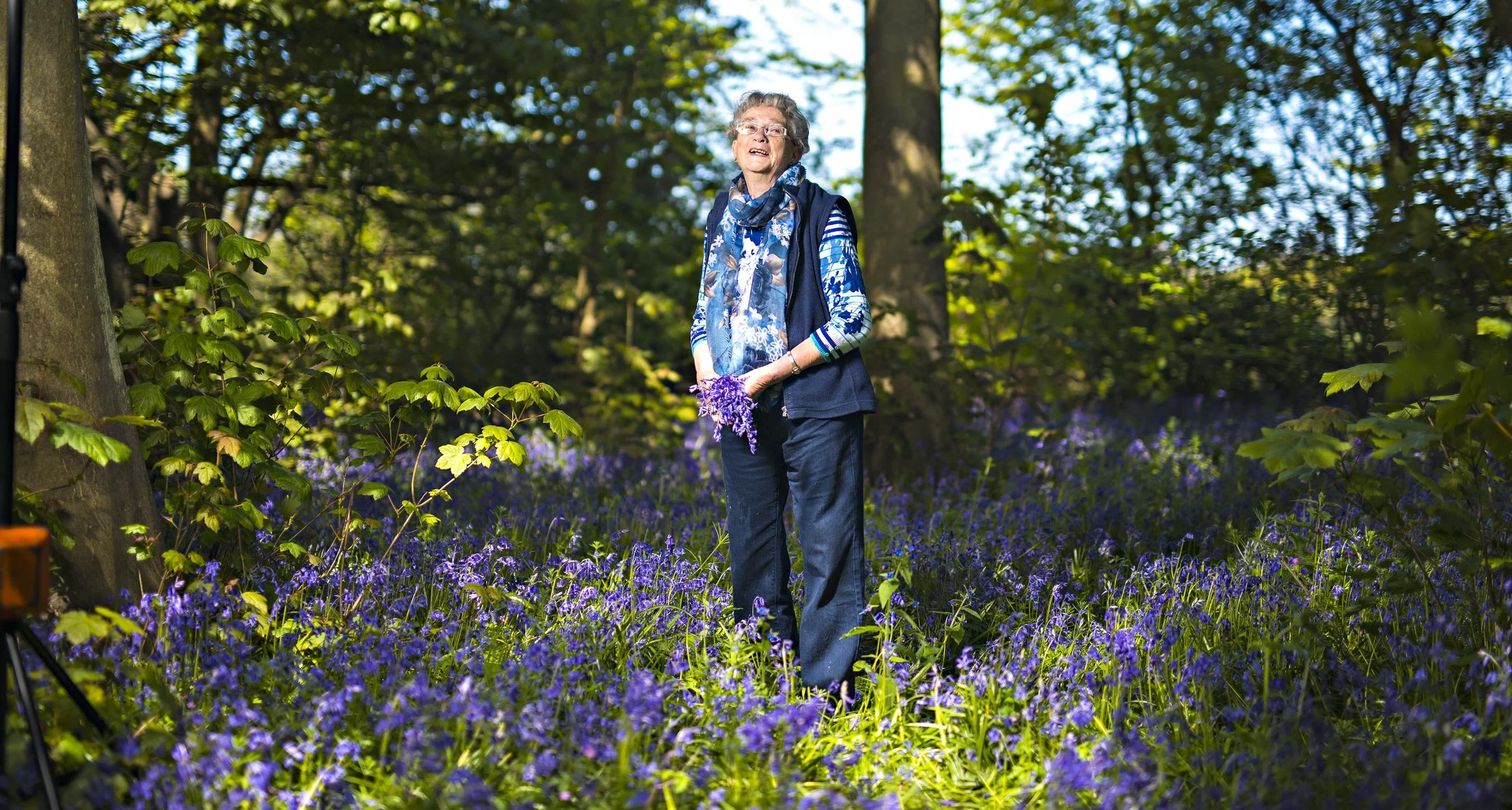 Growing up Wild campaign for the Suffolk Wildlife Trust - Margaret Jay in her favourite bluebell field, Gunton Wood, Lowestoft.
