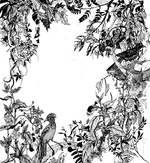 original web.jpg