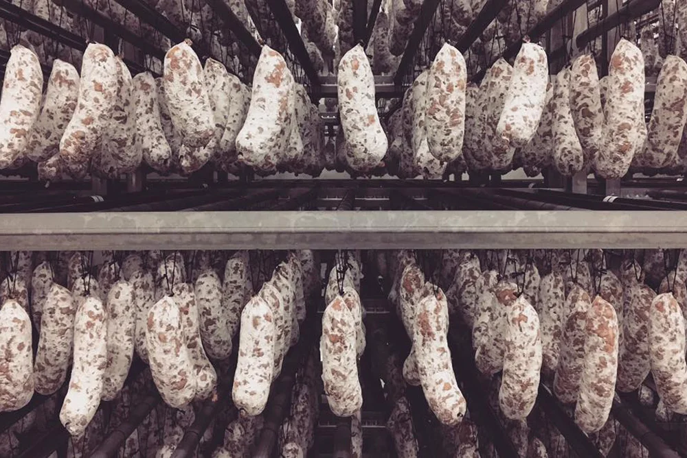 Köstliche Rohwurst bei der Reifung in den Reifekammern von Brandt & Levie worstmakers.