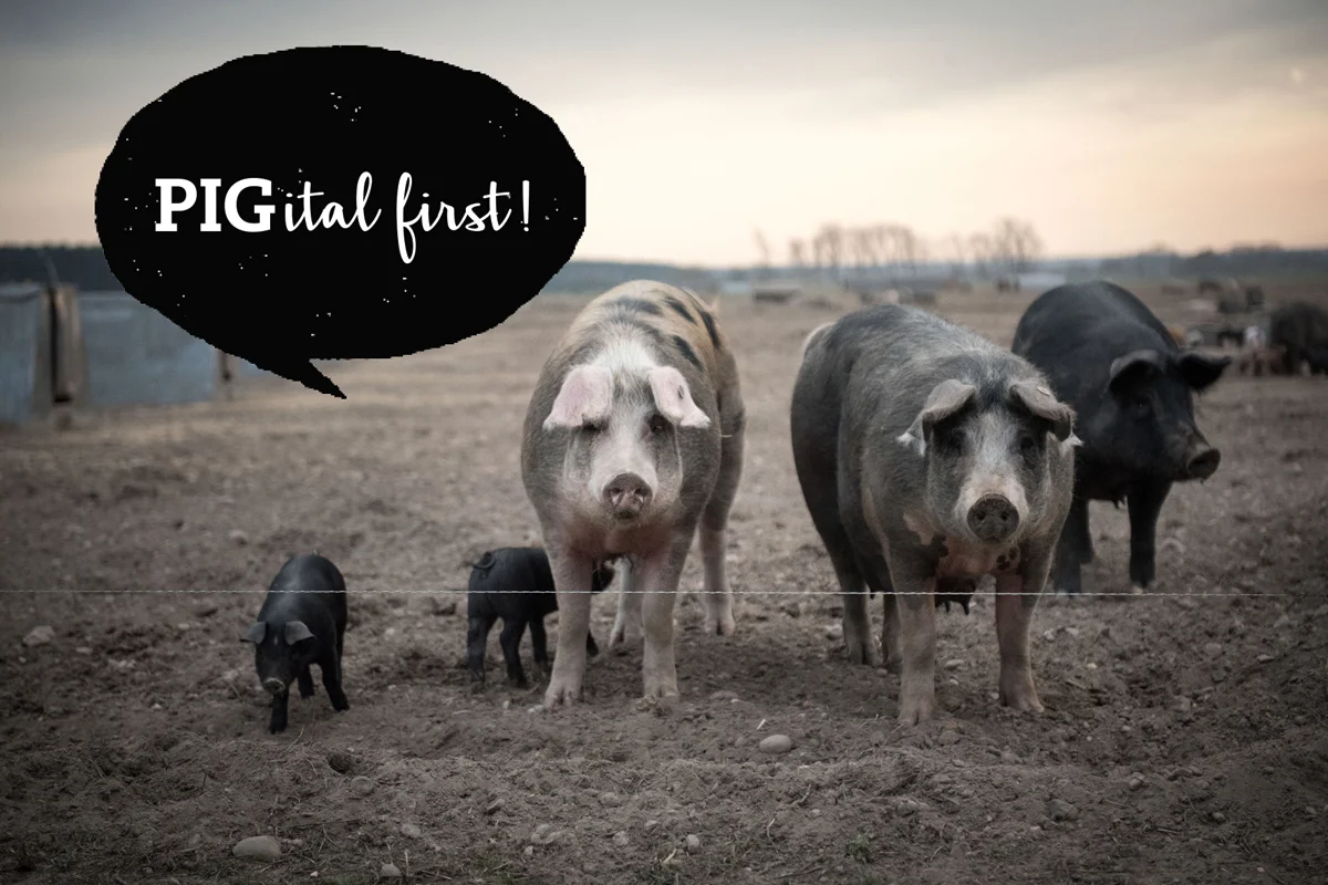 Pigital-First.jpg