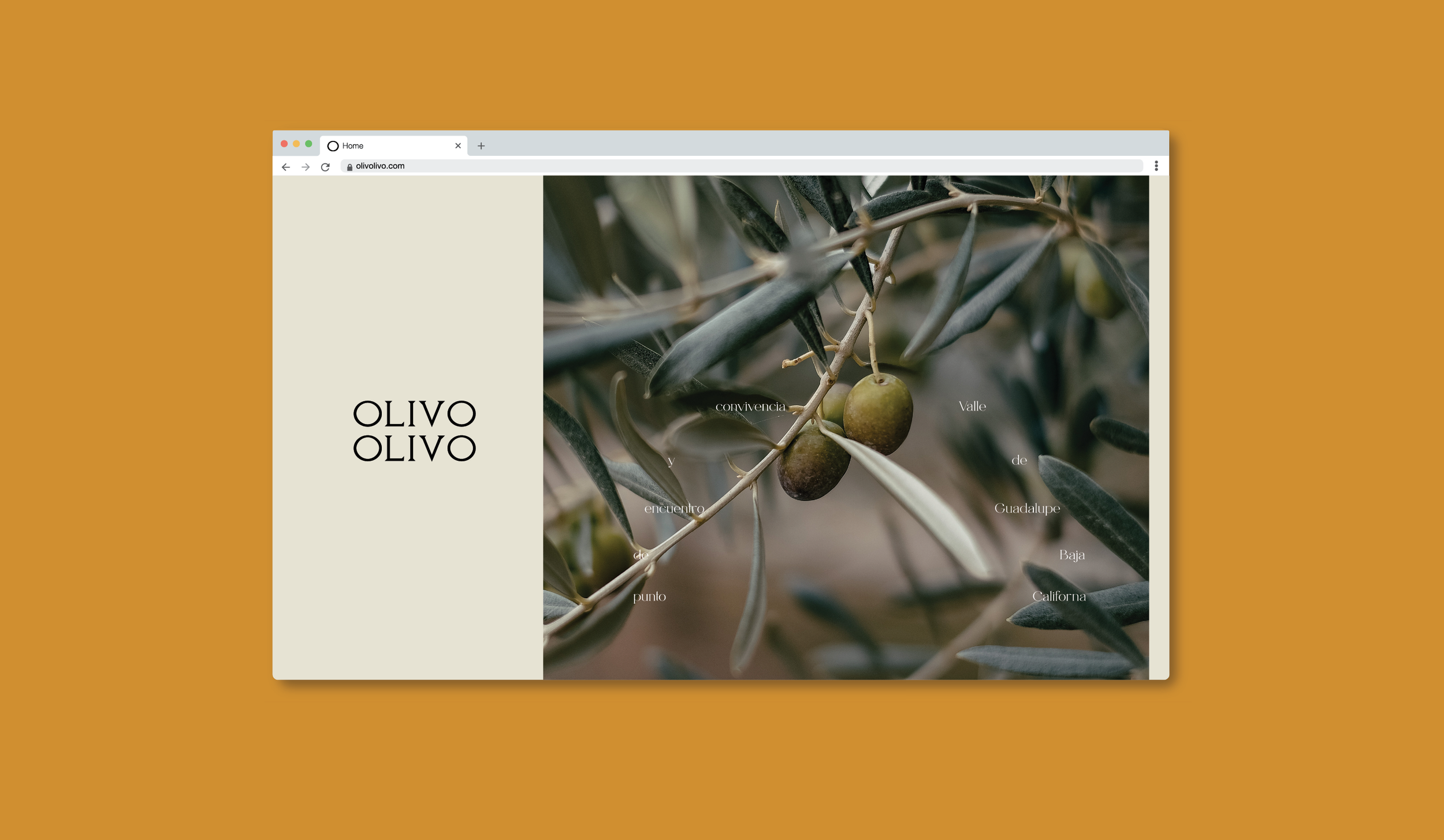 OLIVO_byDWWM_web .png