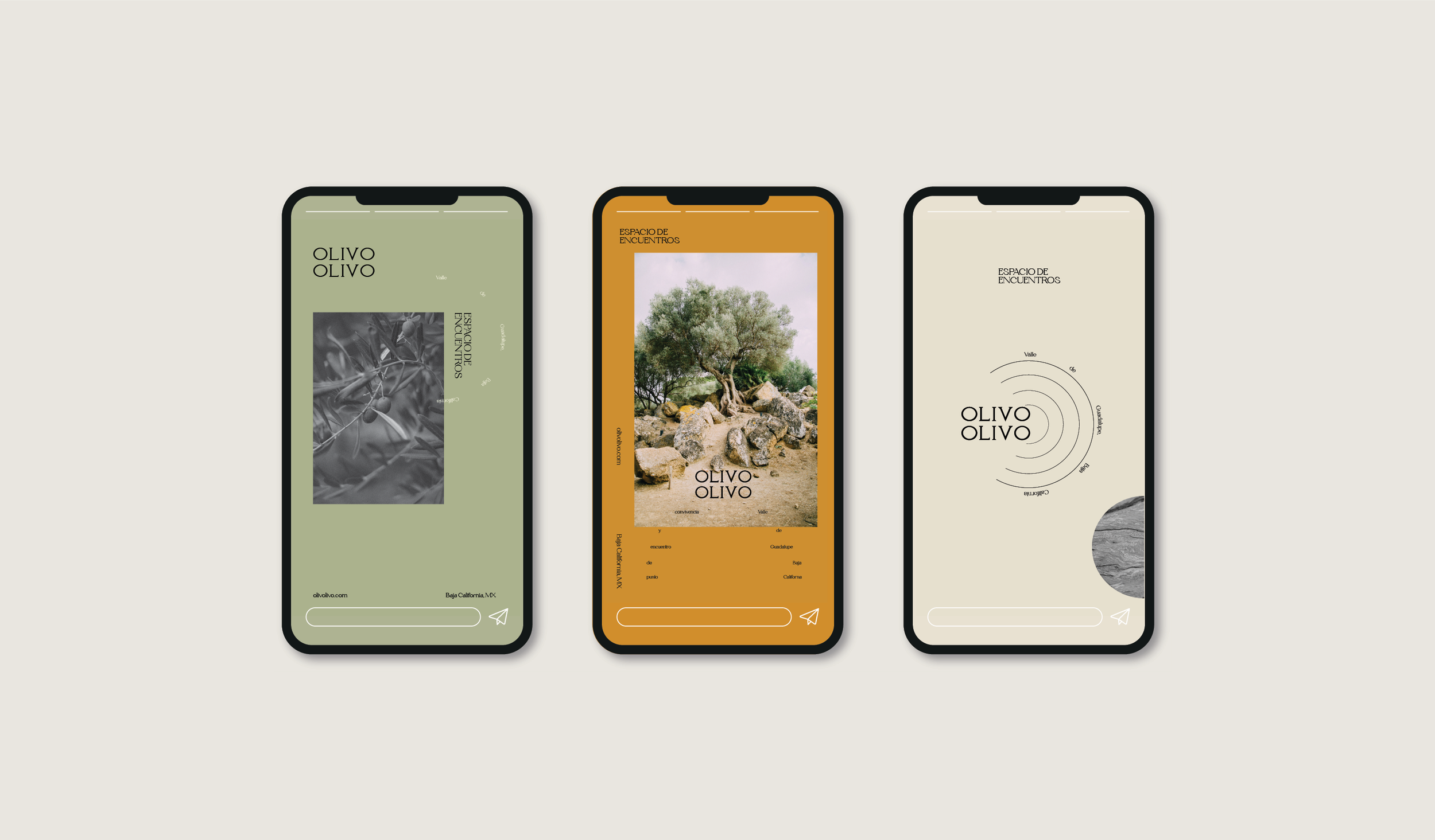 OLIVO_byDWWM_Branding IG 1.png