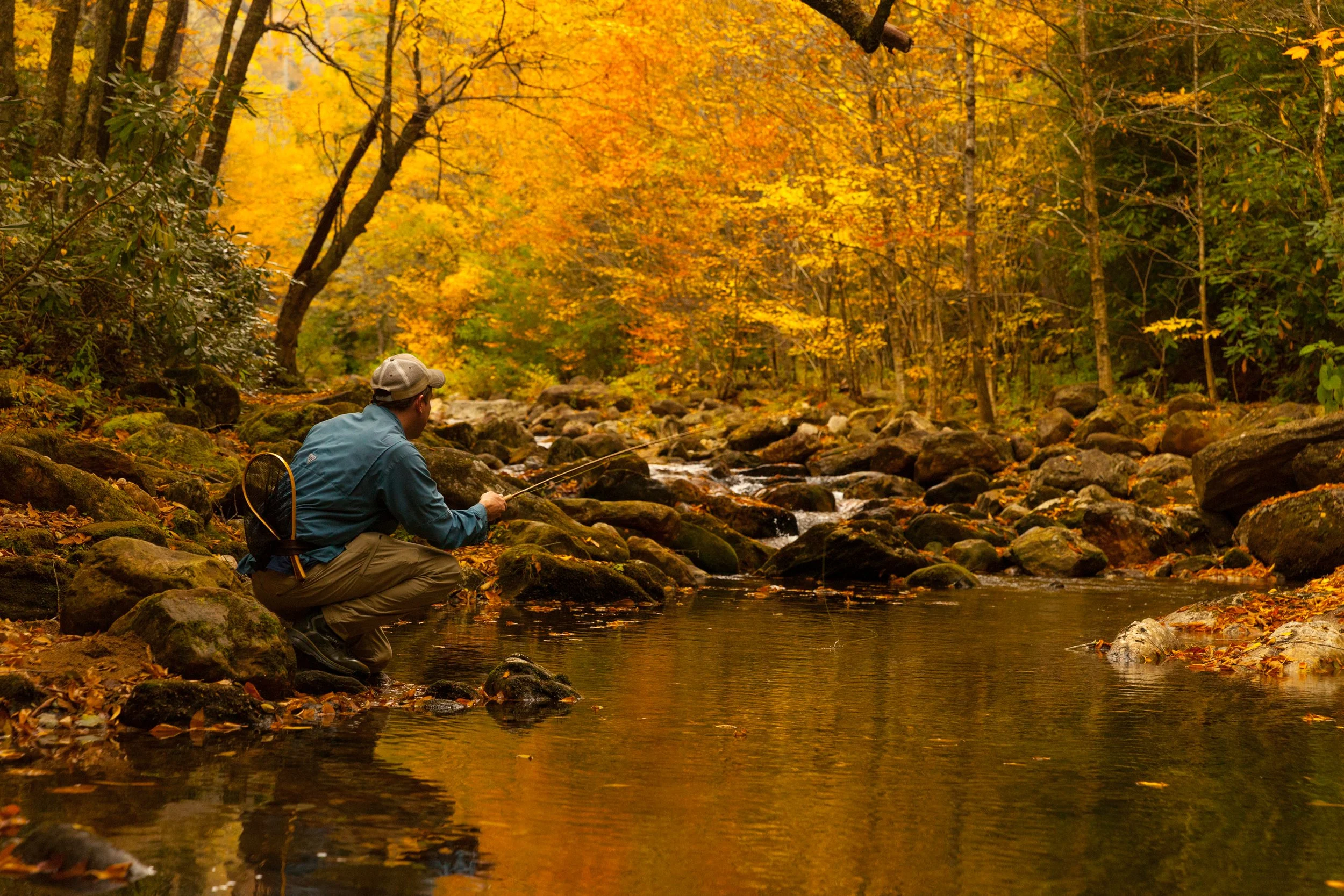 Published 2019_1.jpg