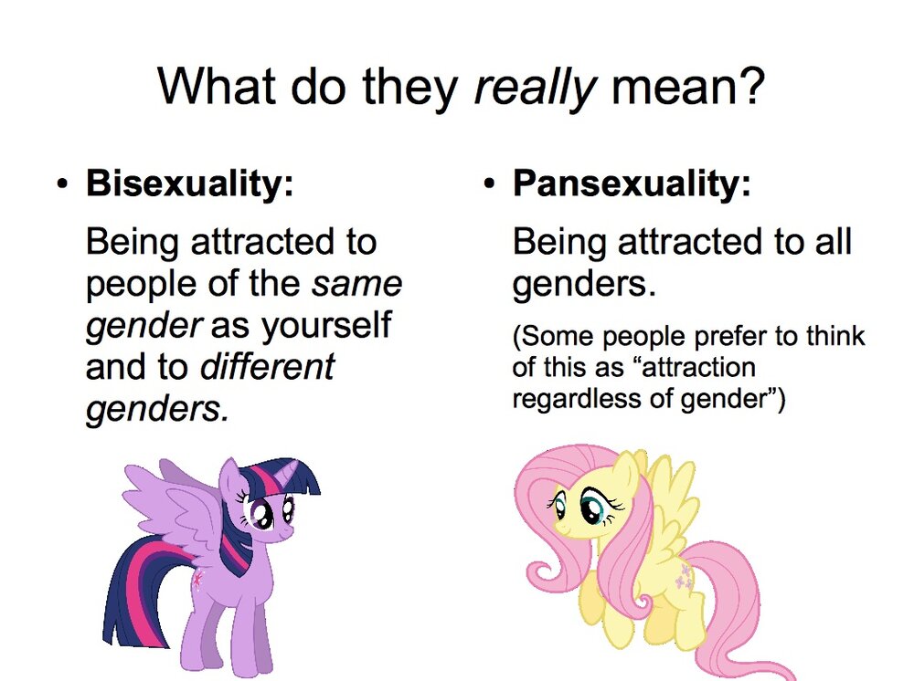Vs pan sexual sexual bi Pansexual vs