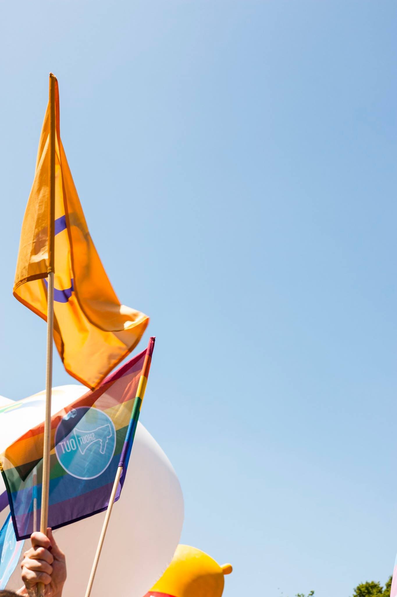 Attitudes of Secondary School Students in Ireland towards Intersex Issues 