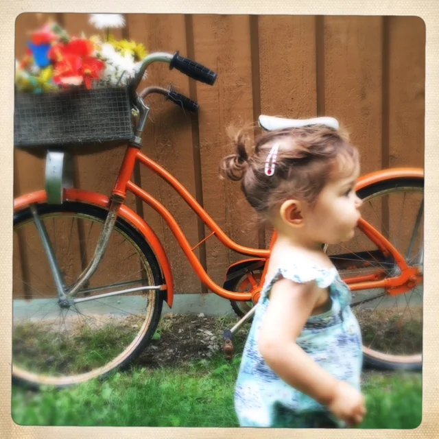 Ida Haru, hunting for food. Or birds. Or dogs.