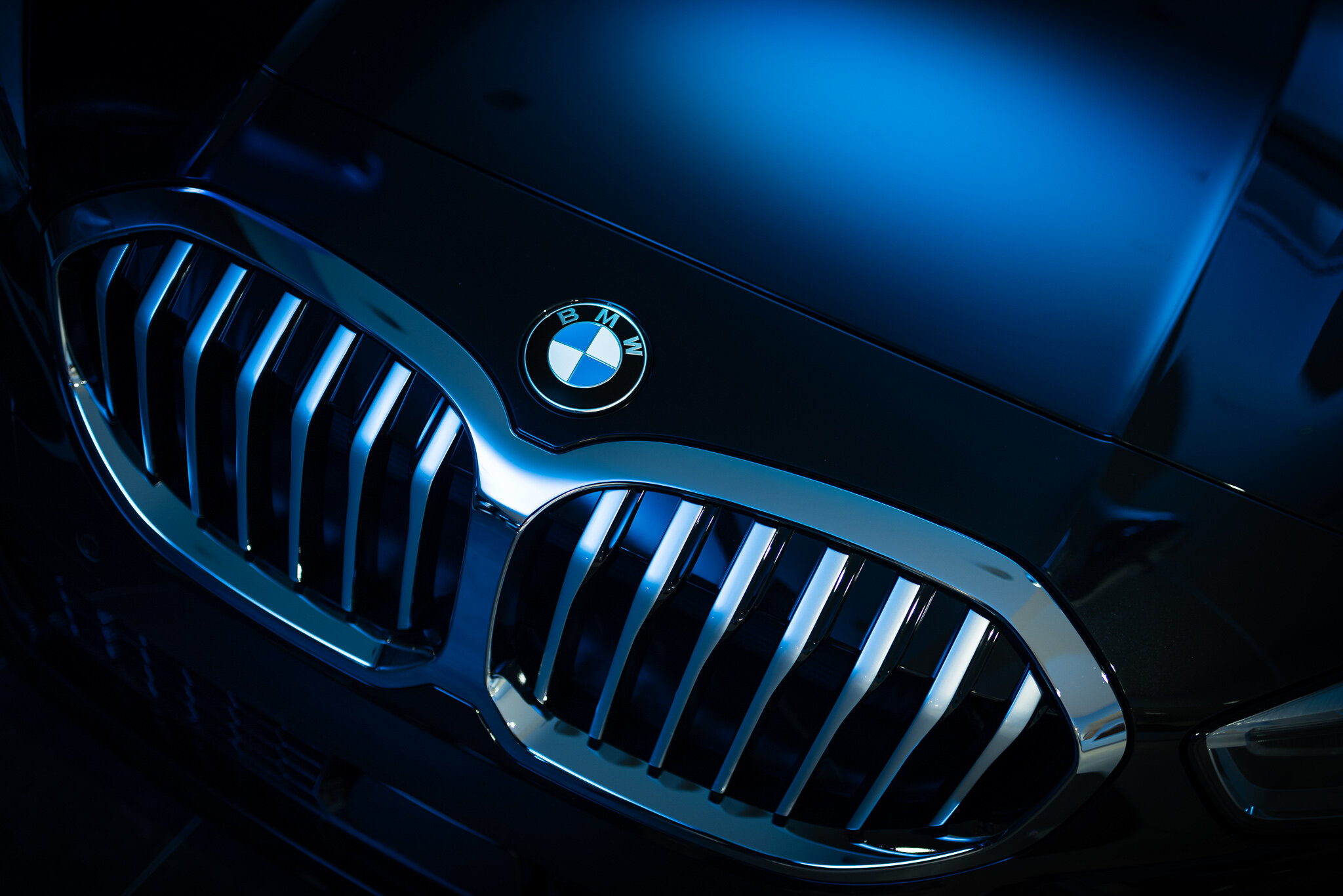 Gippsland BMW Launch 7.11.19 (ScreenRes)-71.JPG