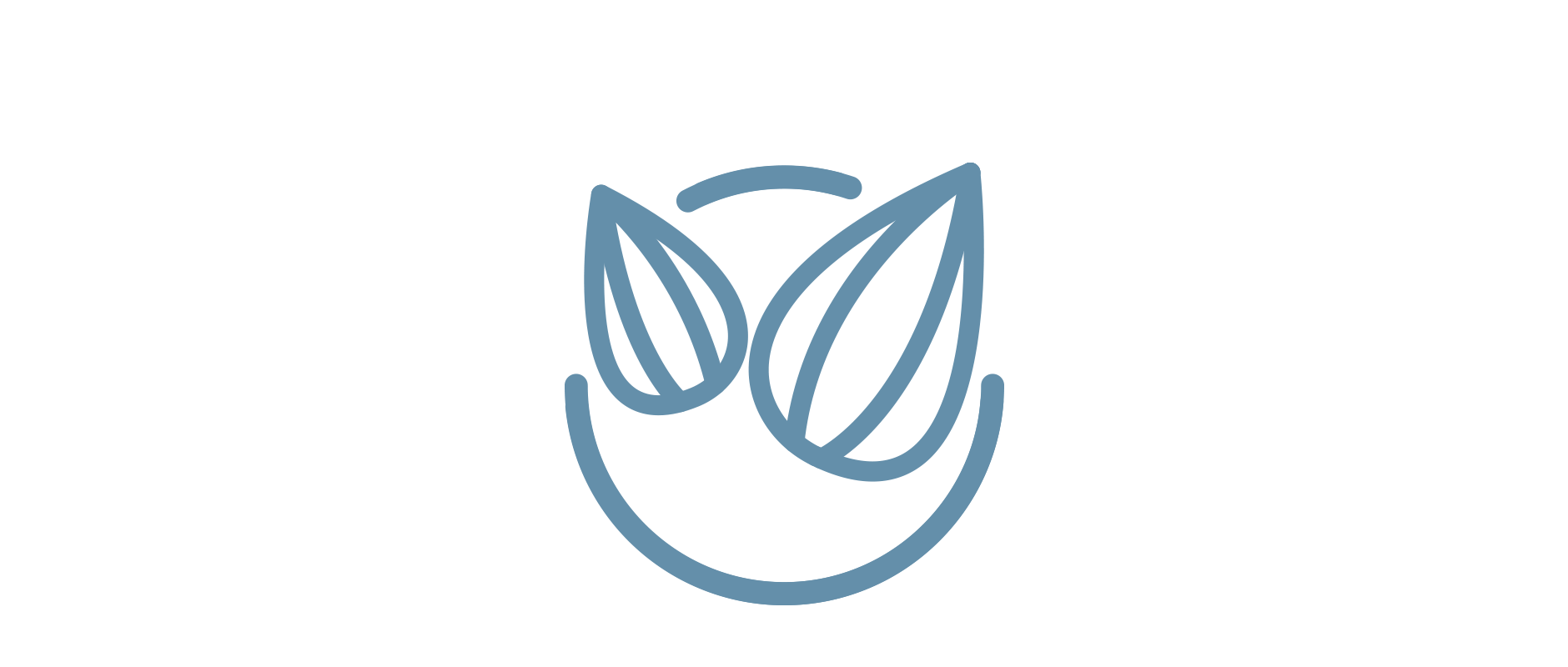 Connect_icon.png