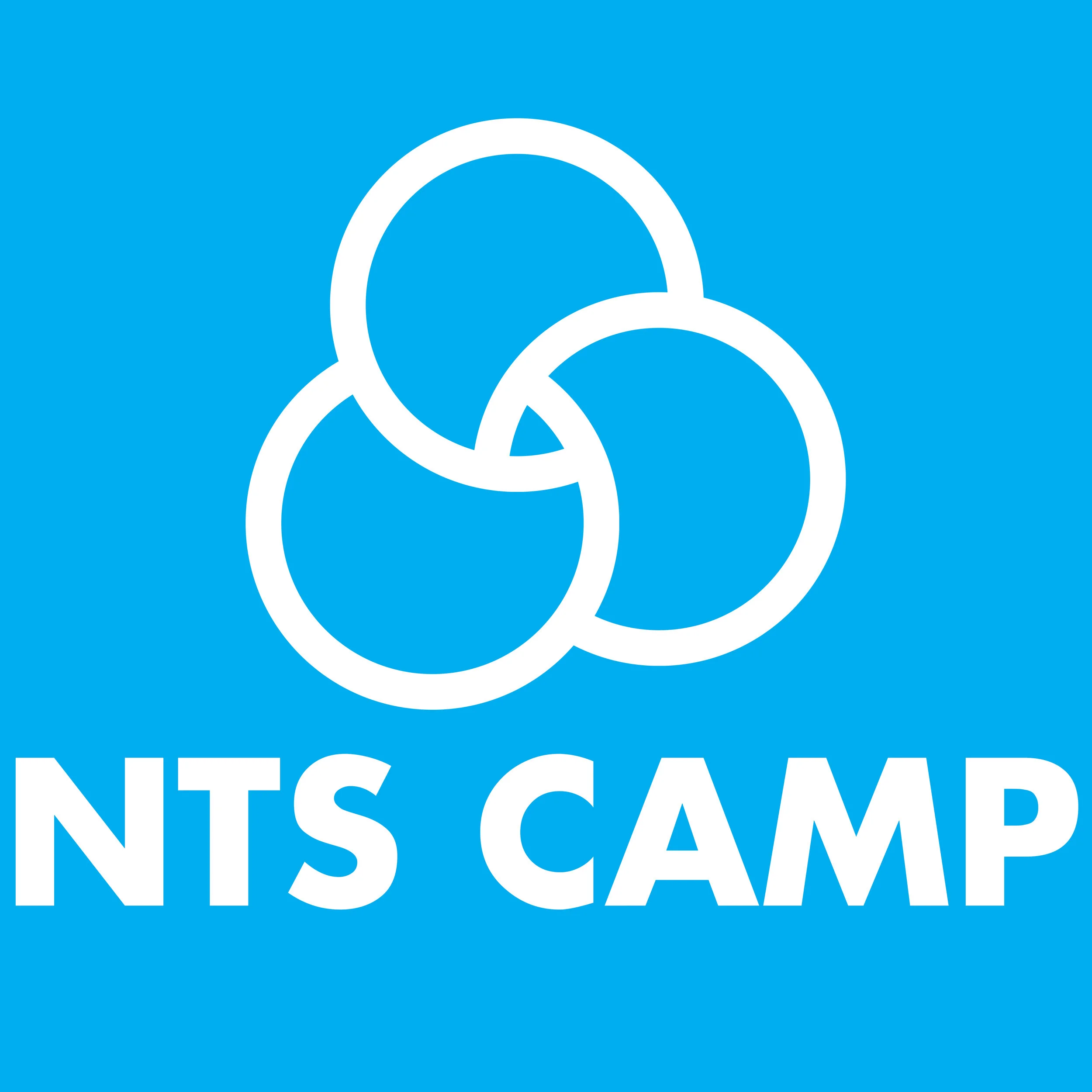 nts logo.jpg