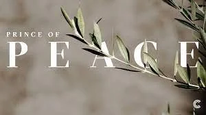 Wednesday December 8th7am8am9am-Kathy Barger10am-Kirk and Cindy Murphy11am-12pm-Pat Lievre1pm-2pm-Laura and Don Diehl3pm-4pm-5pm-Marti Cook (online)6pm7pm