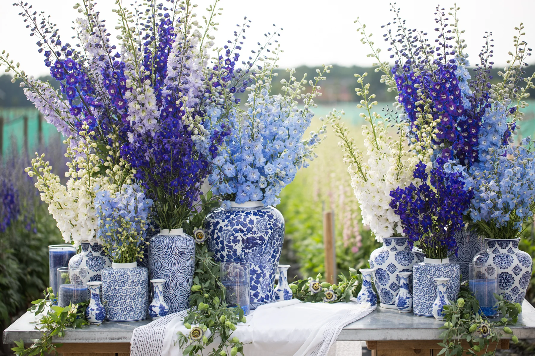 GardenDistrict-Delphinium-SelaviePhoto-206.jpg