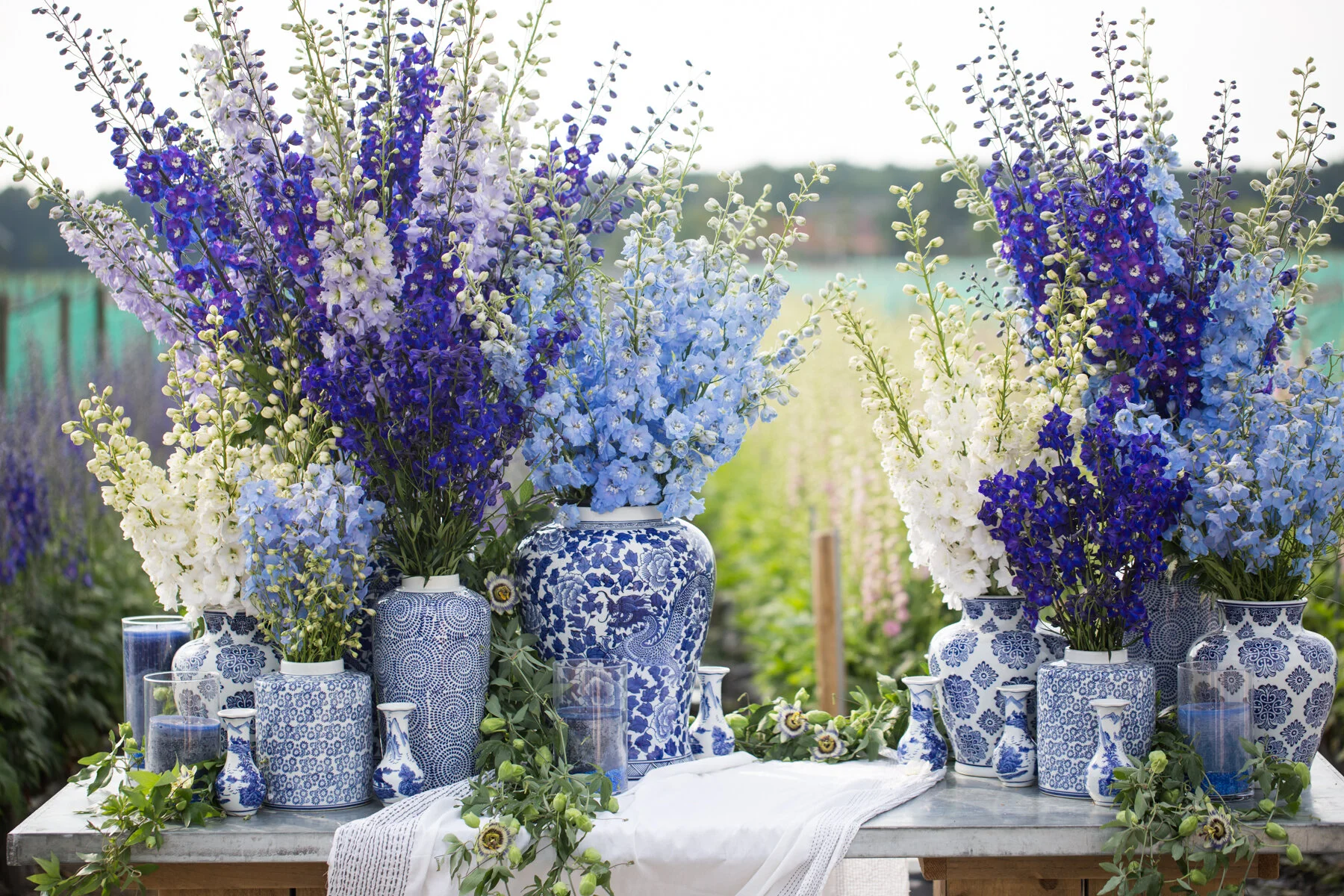GardenDistrict-Delphinium-SelaviePhoto-206.jpg