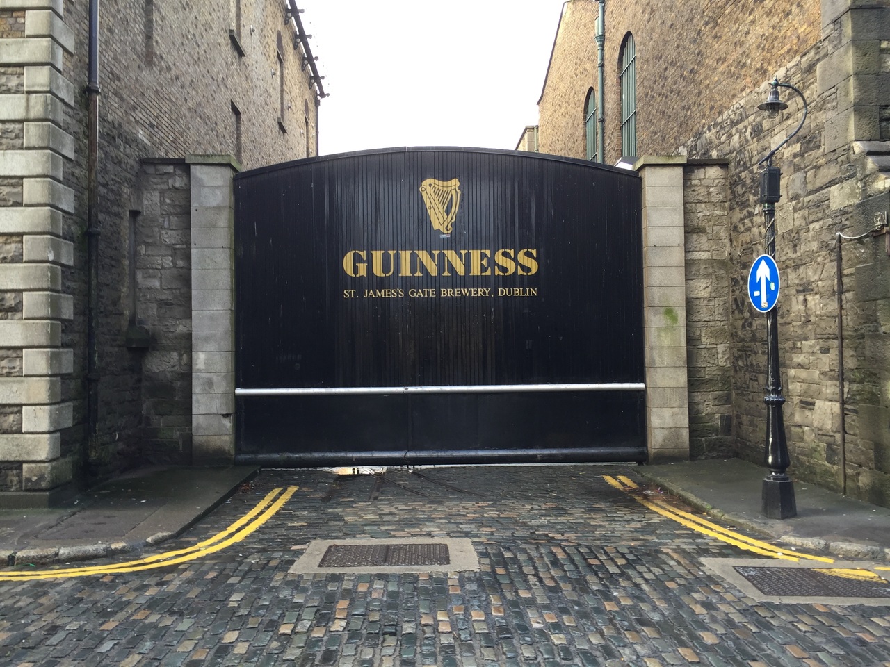 guiness sh.jpg
