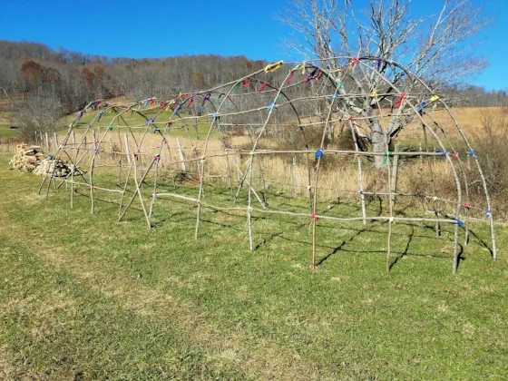 Shee-ah-ook Wee-gwum - Grandparent Lodge. Healing Circles, Sharing Circles and Healing Ceremonies took place in the pure energy of universal and natural law. Here Elders would balance our thinking and emotions through stories, teachings, and spiritual healing which in turn would heal our physical ailments.