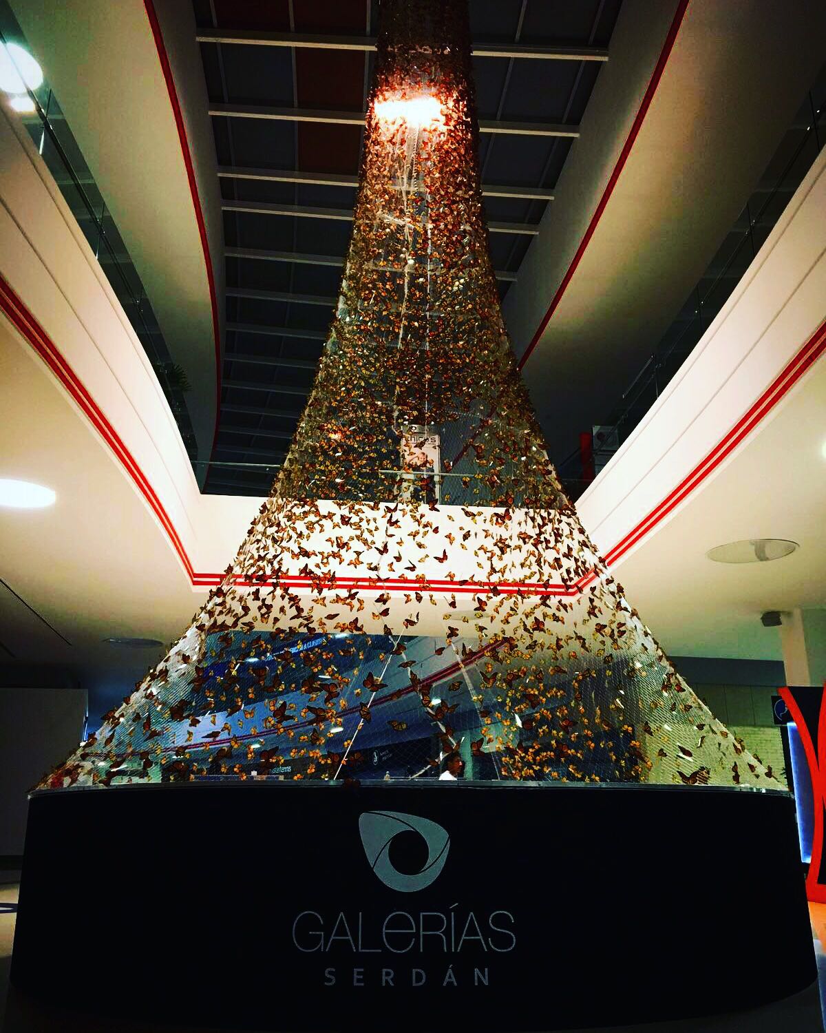 The photo above and bellow are ten-thosand monarch butterflies is a traveling installation made possible by LDMX, in Galerías Serdán, Mexico.