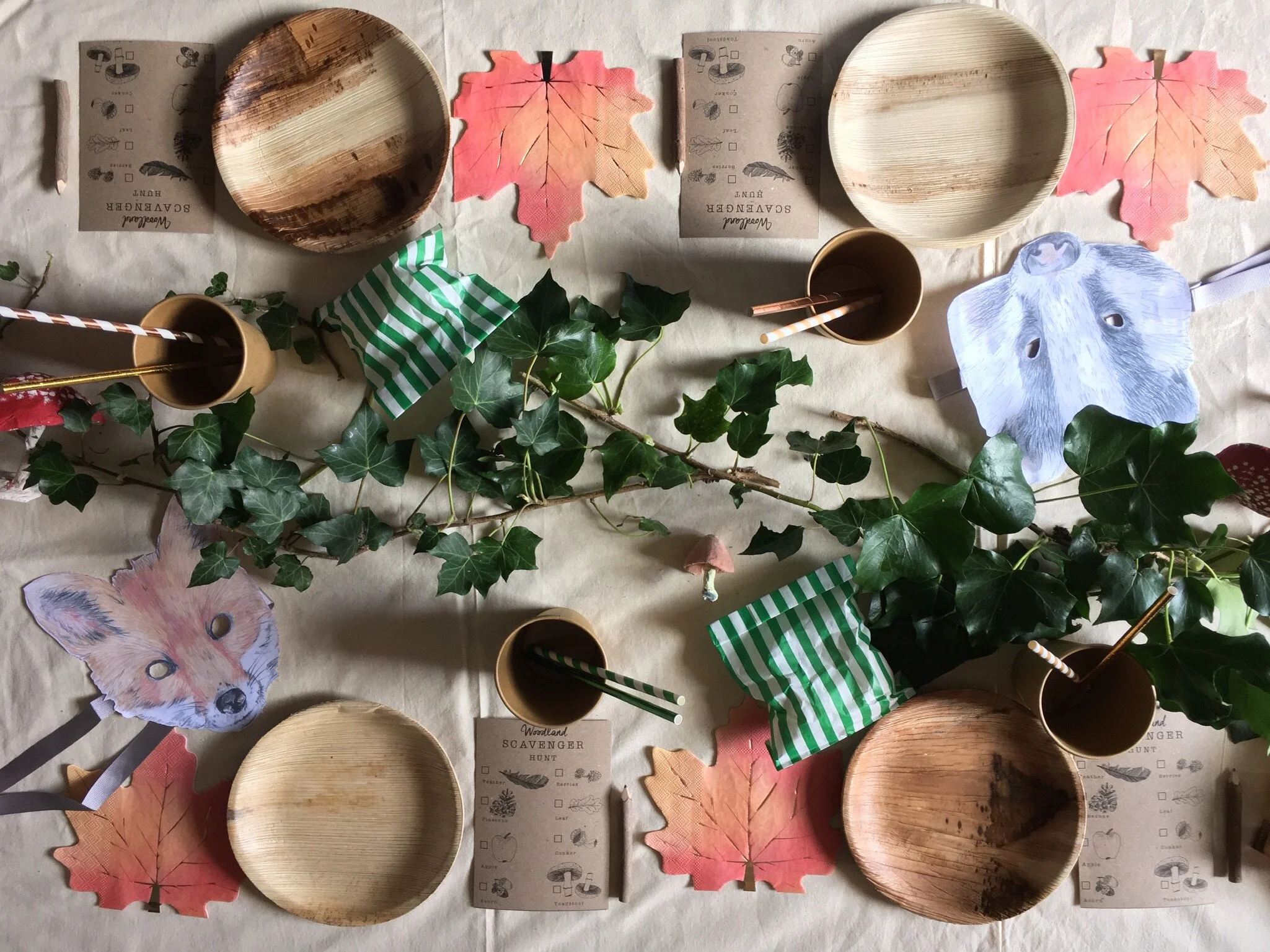 Magical Party supplies