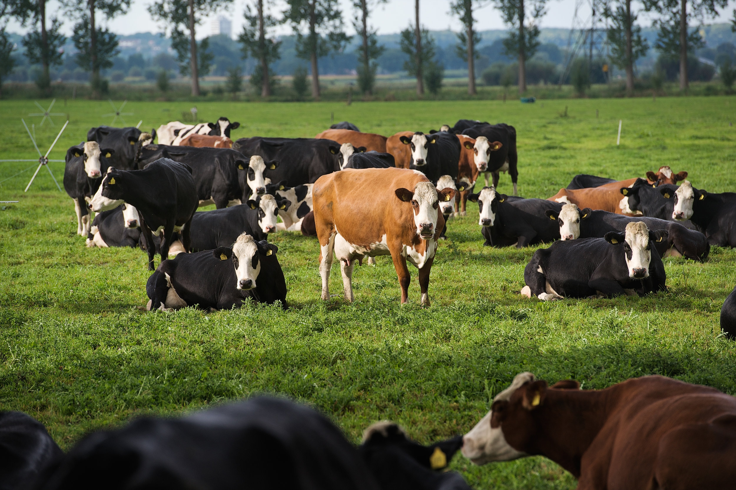 Onze boerderij