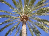 SUMMERLIN (LAS VEGAS), NEVADA <b>SOLD!</b>