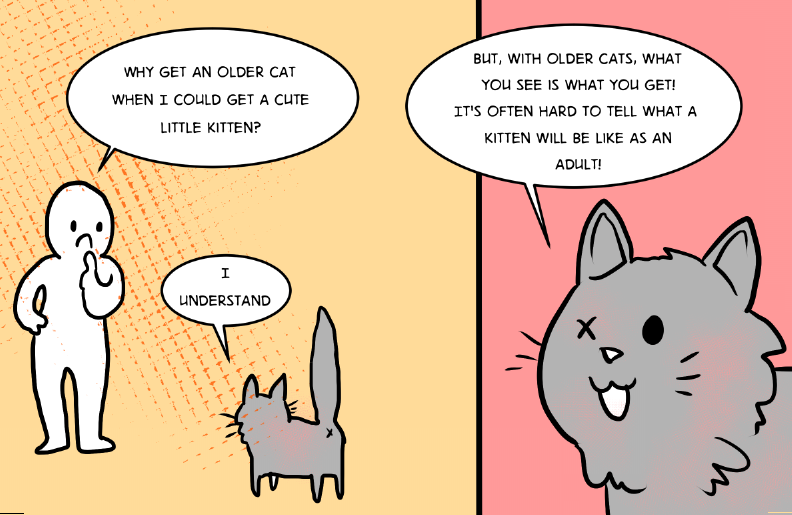 tumblr_n2wy5hUog31rzhs5zo6_1280.png