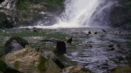 tumblr_niae31pAT71rl52wjo3_r1_500.gif