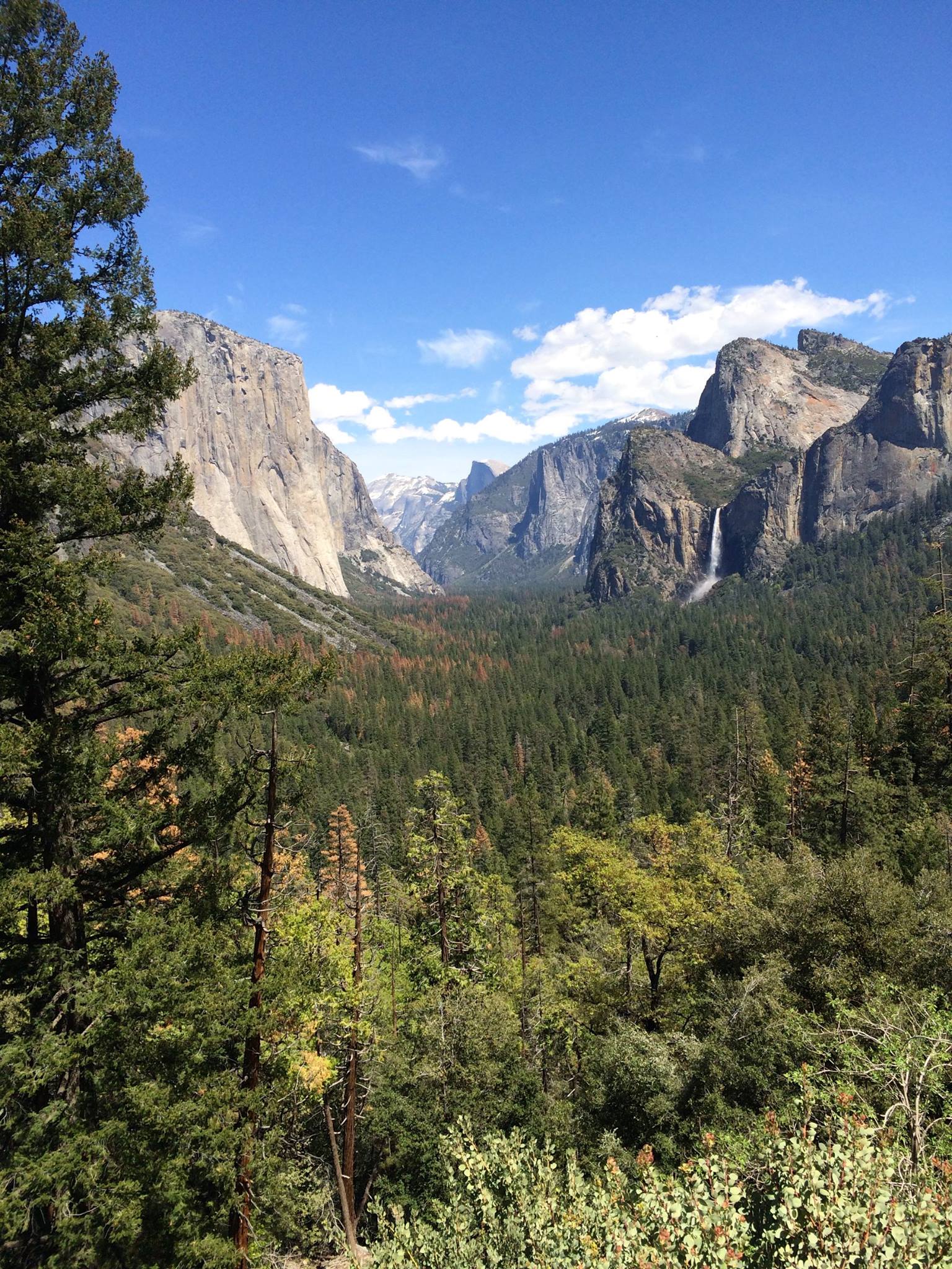 Tunnel View of Yosemite Valley, Bridalveil Falls, El Capitan, Half Dome, Victoria Nightingale