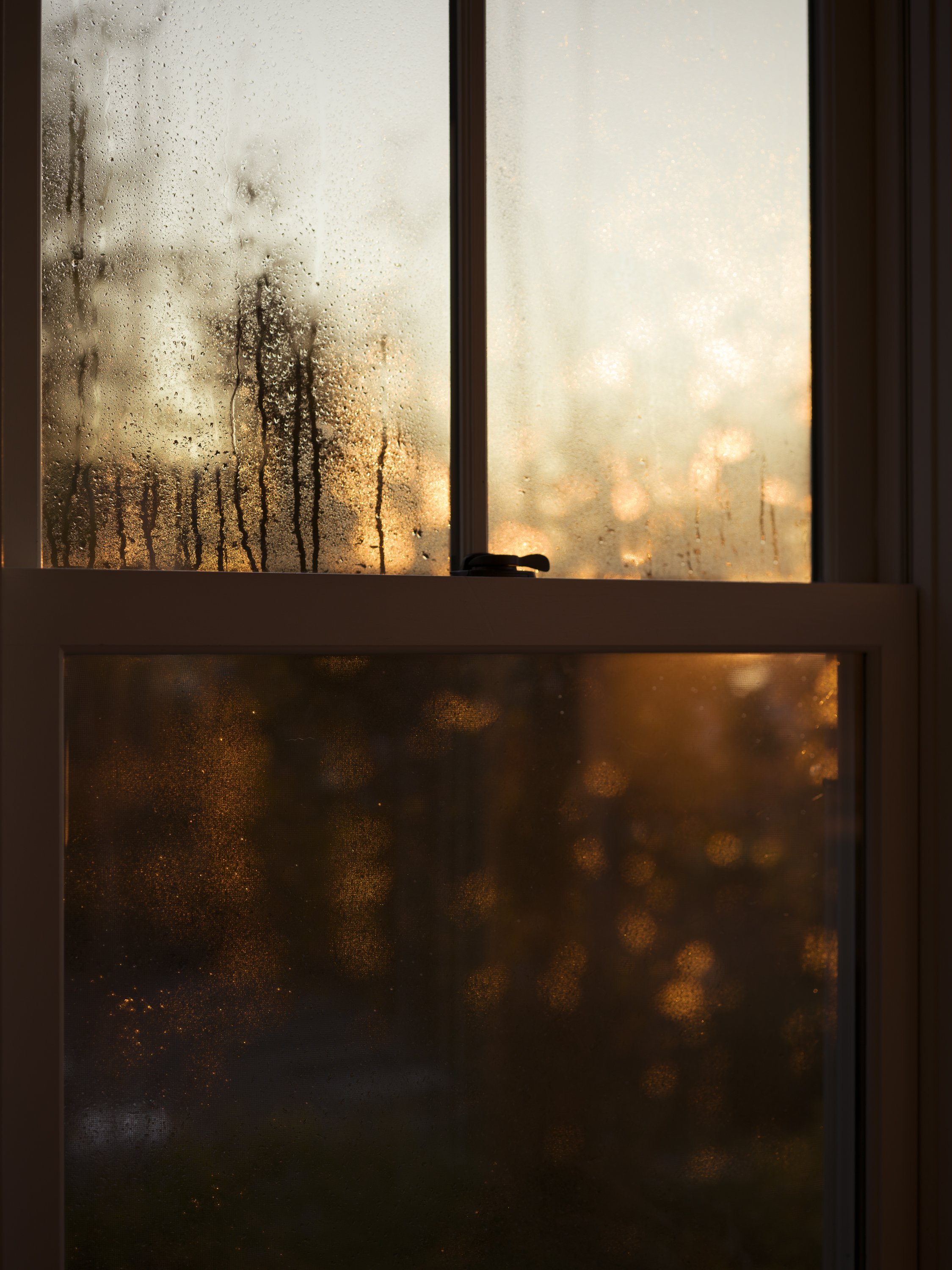  Window at sunrise, 2021 