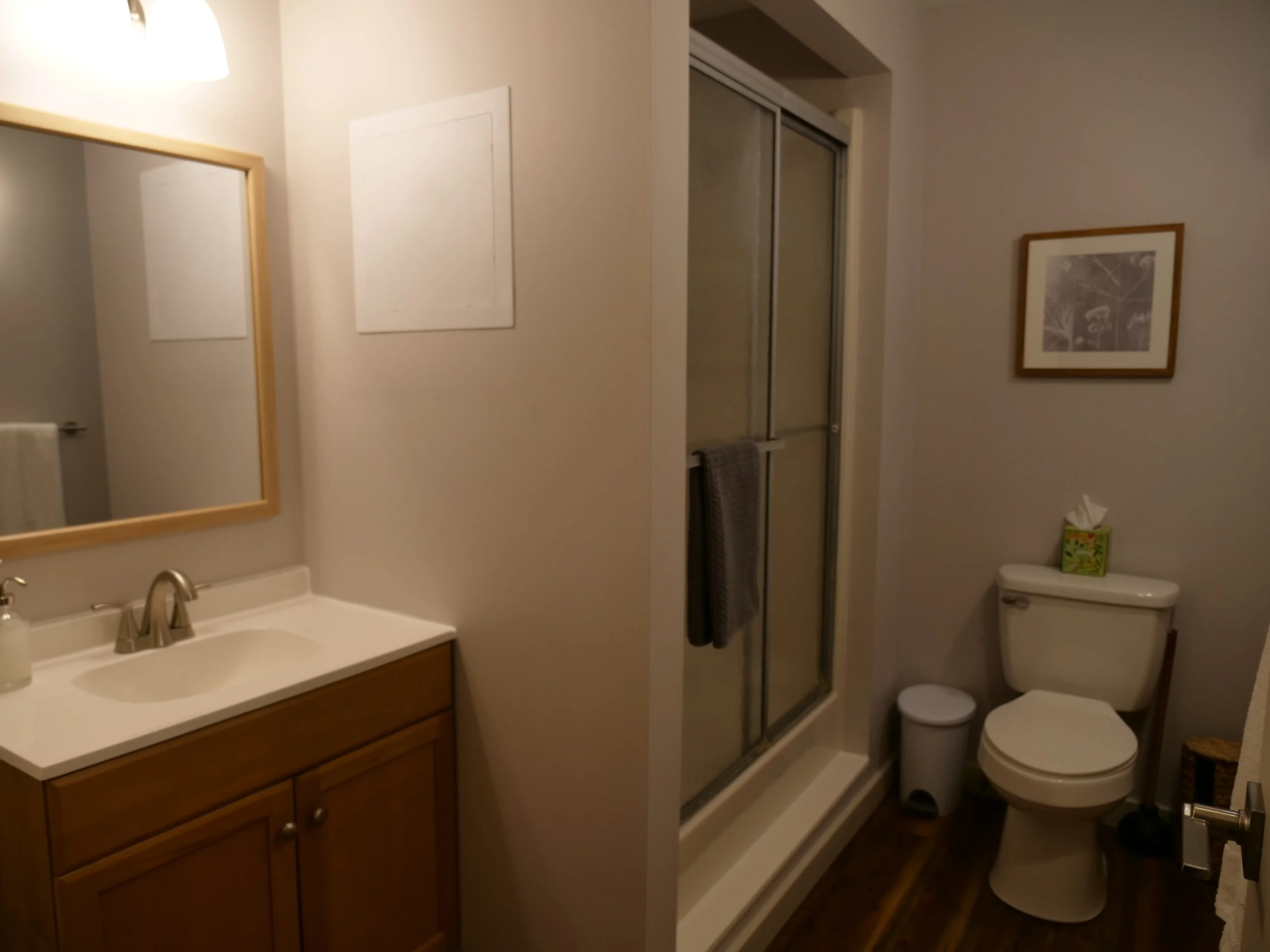 61 - Lodge Basement Bathroom 01.JPG