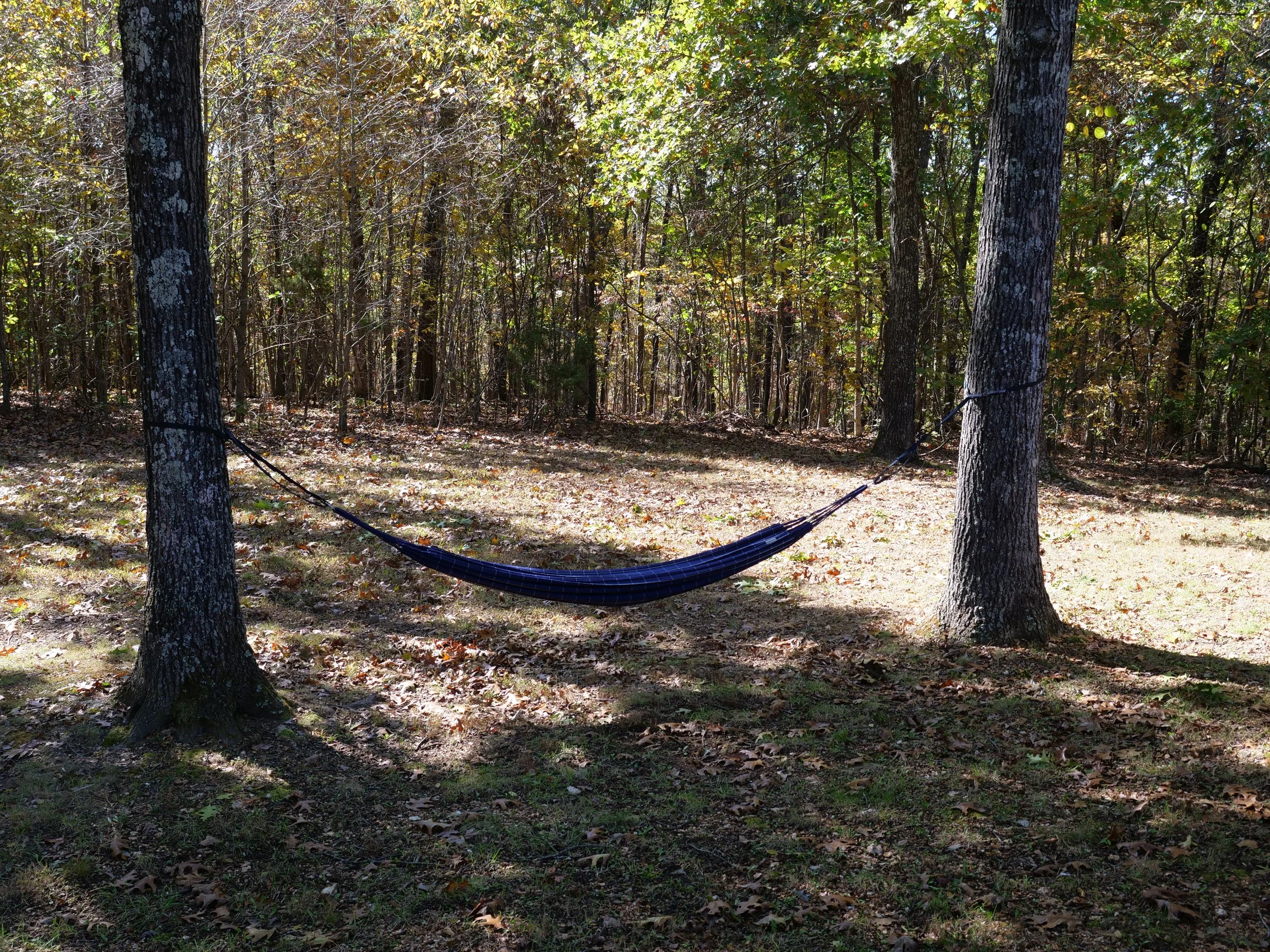 69 - Lodge Hammock.JPG