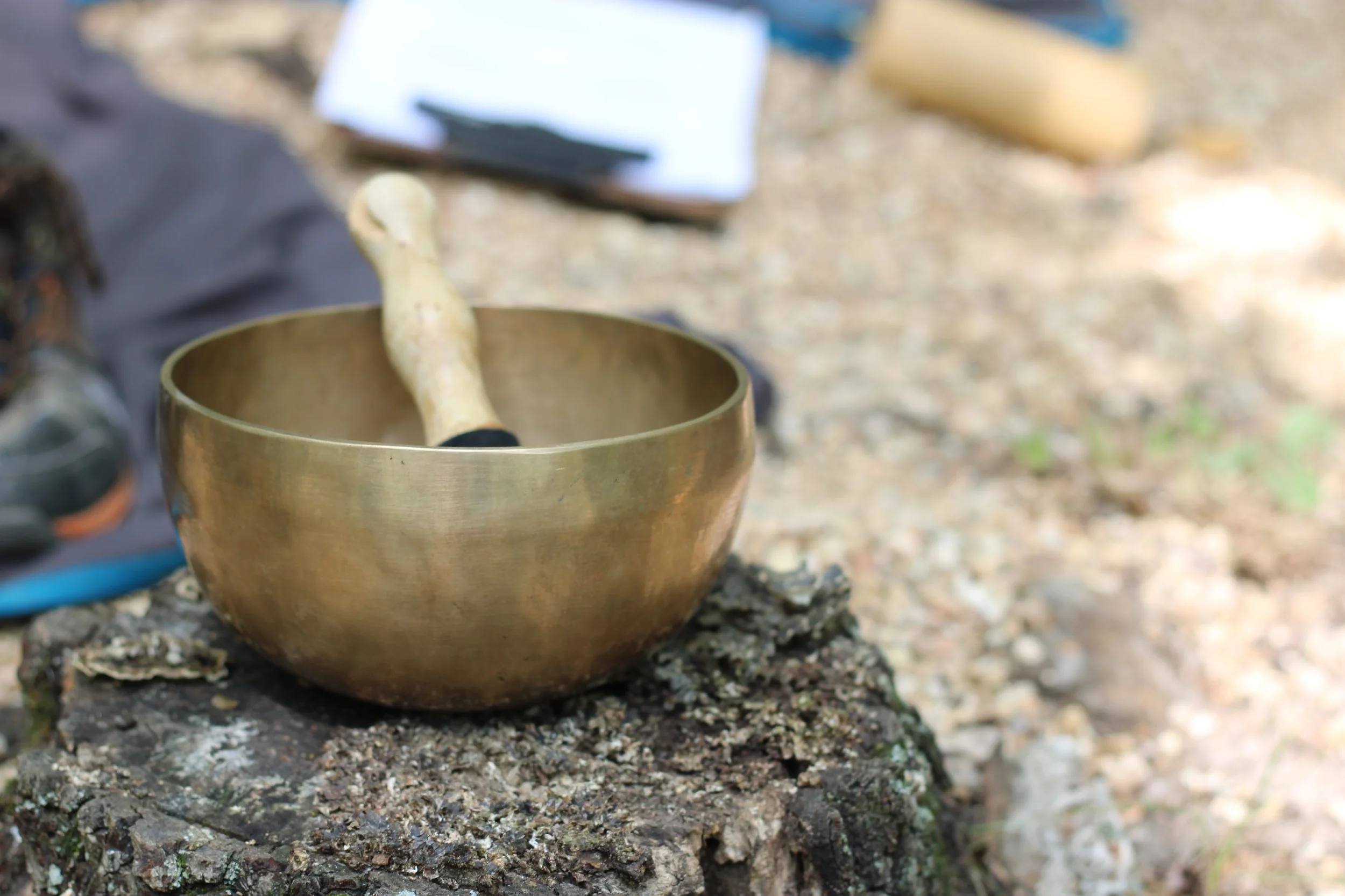 75 - Forest Bathing Singing Bowl.JPG