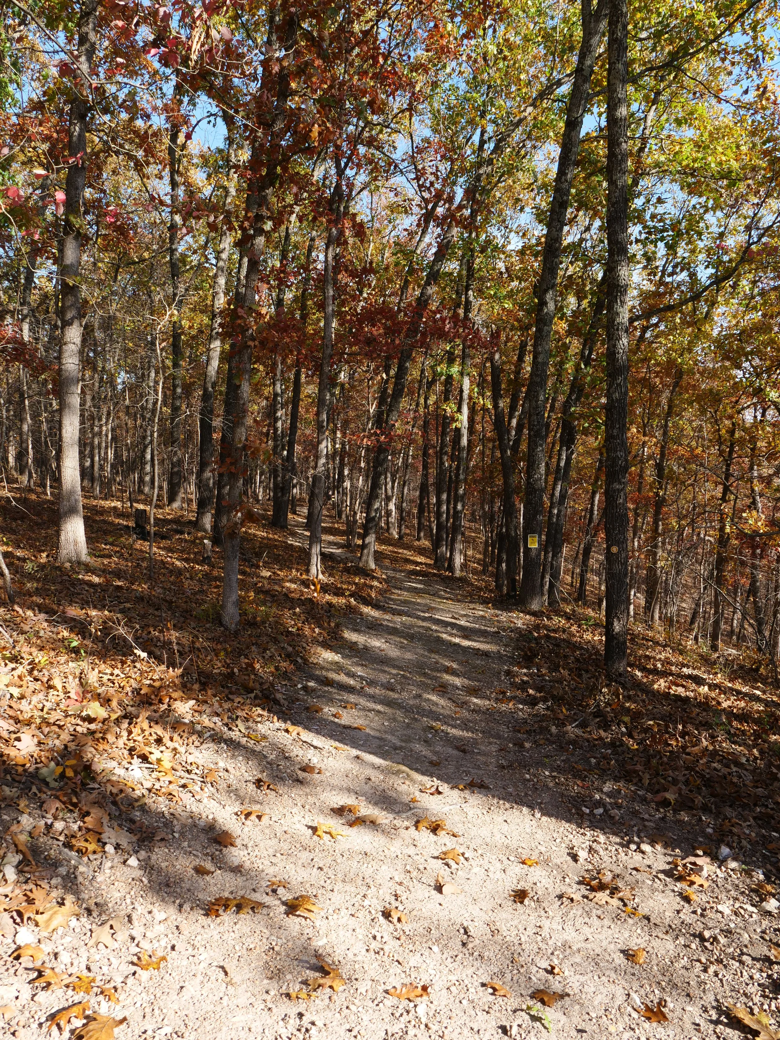 76 - Walking Trail.JPG