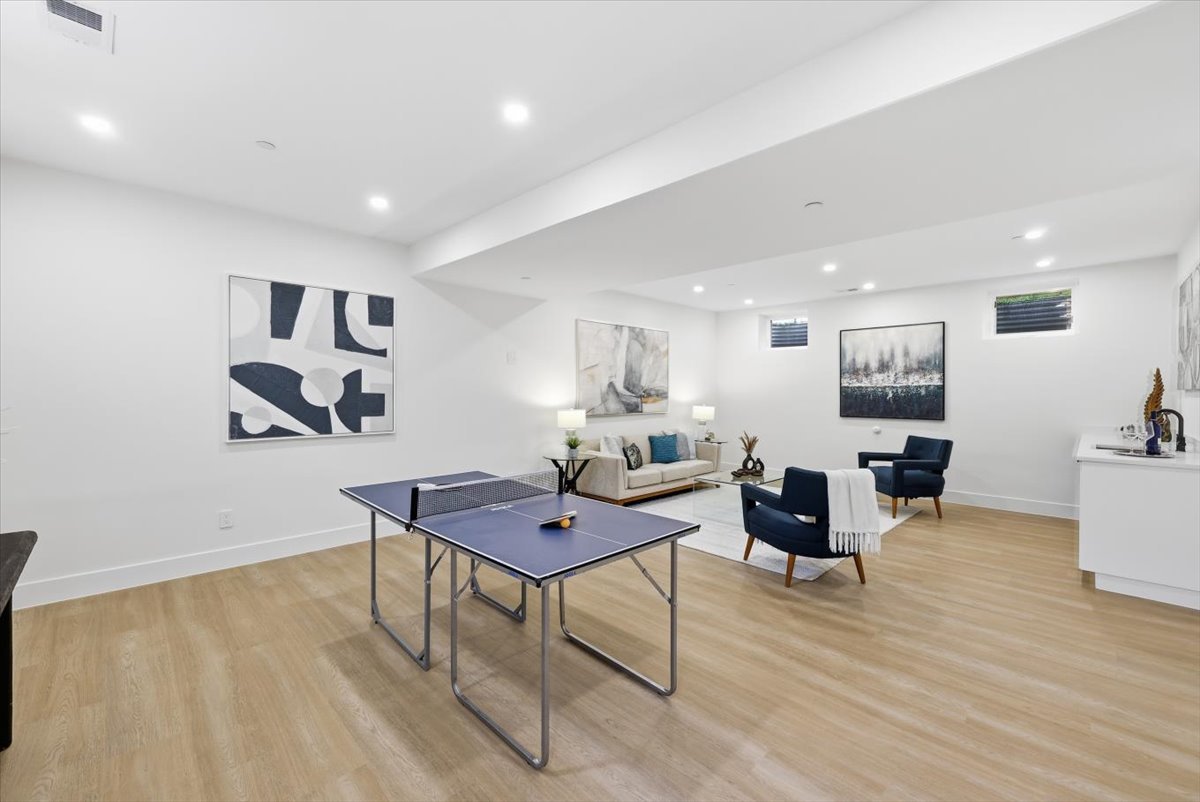 Basement Living Room