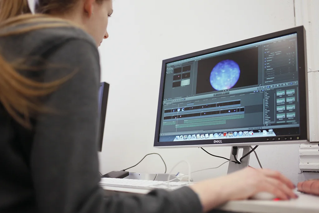Montage vidéo / Video editing