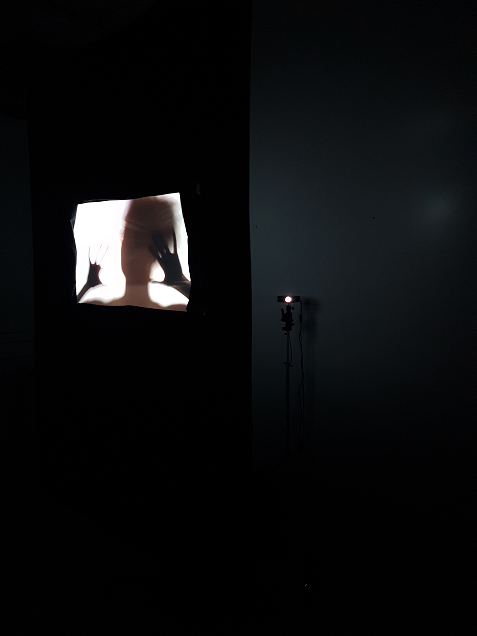 Rebecca Bair, We are not who we are Oppressed to be, (Video Still), Video Projection, 2016