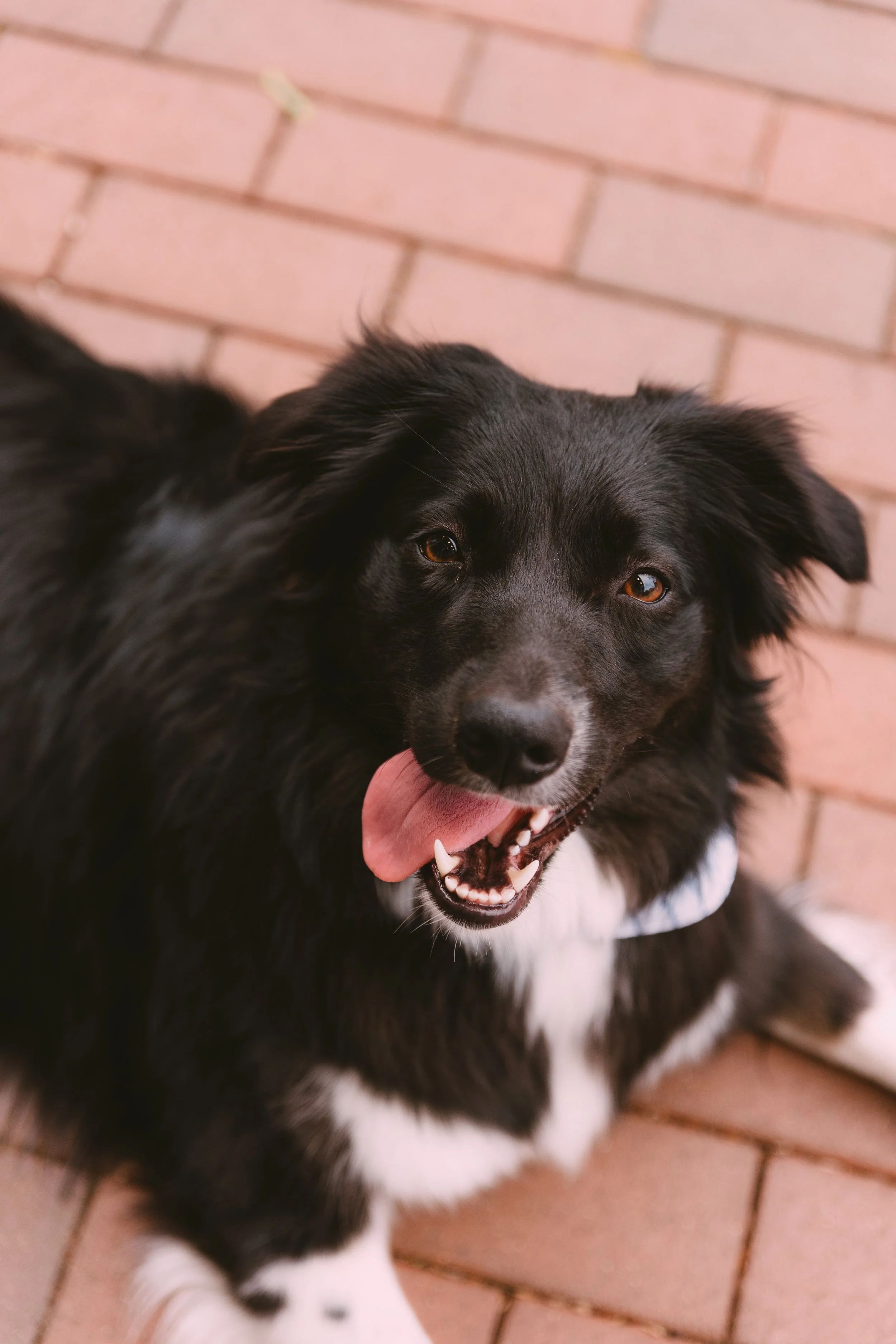 Elizabeth Mini | Kaitlyn Johnston Photography-15.jpg