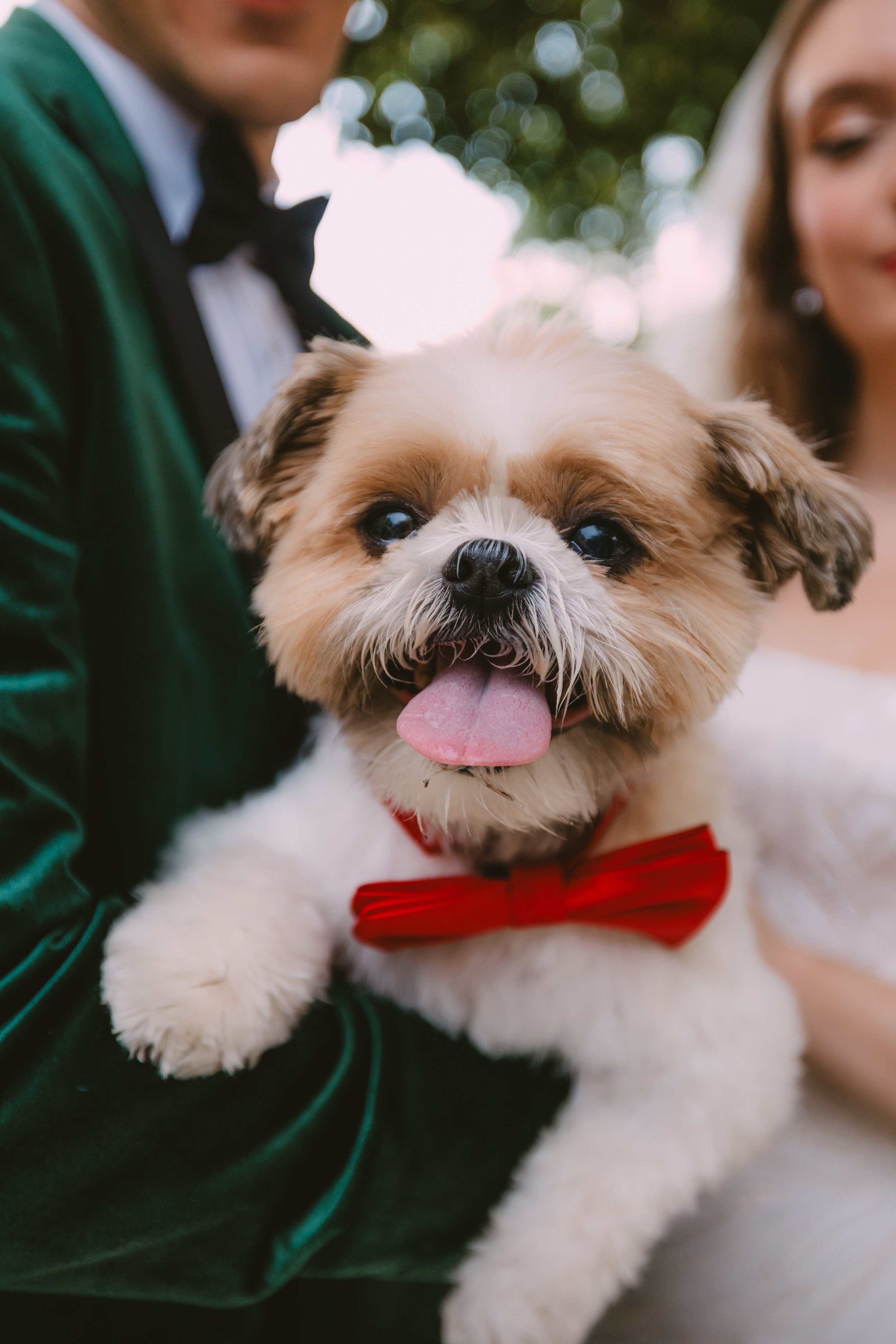 Kirsten + Jared - Sneak Peeks | Kaitlyn Johnston Photography-25.jpg