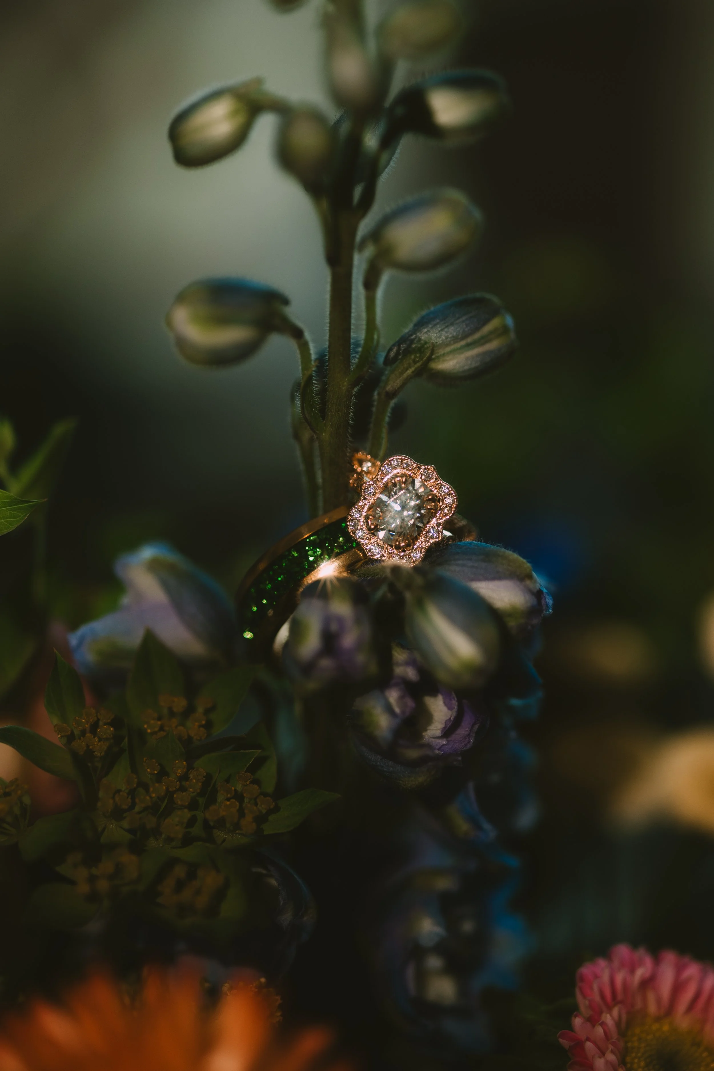 Kel + Will - Sneak Peeks | Kaitlyn Johnston Photography-6.jpg