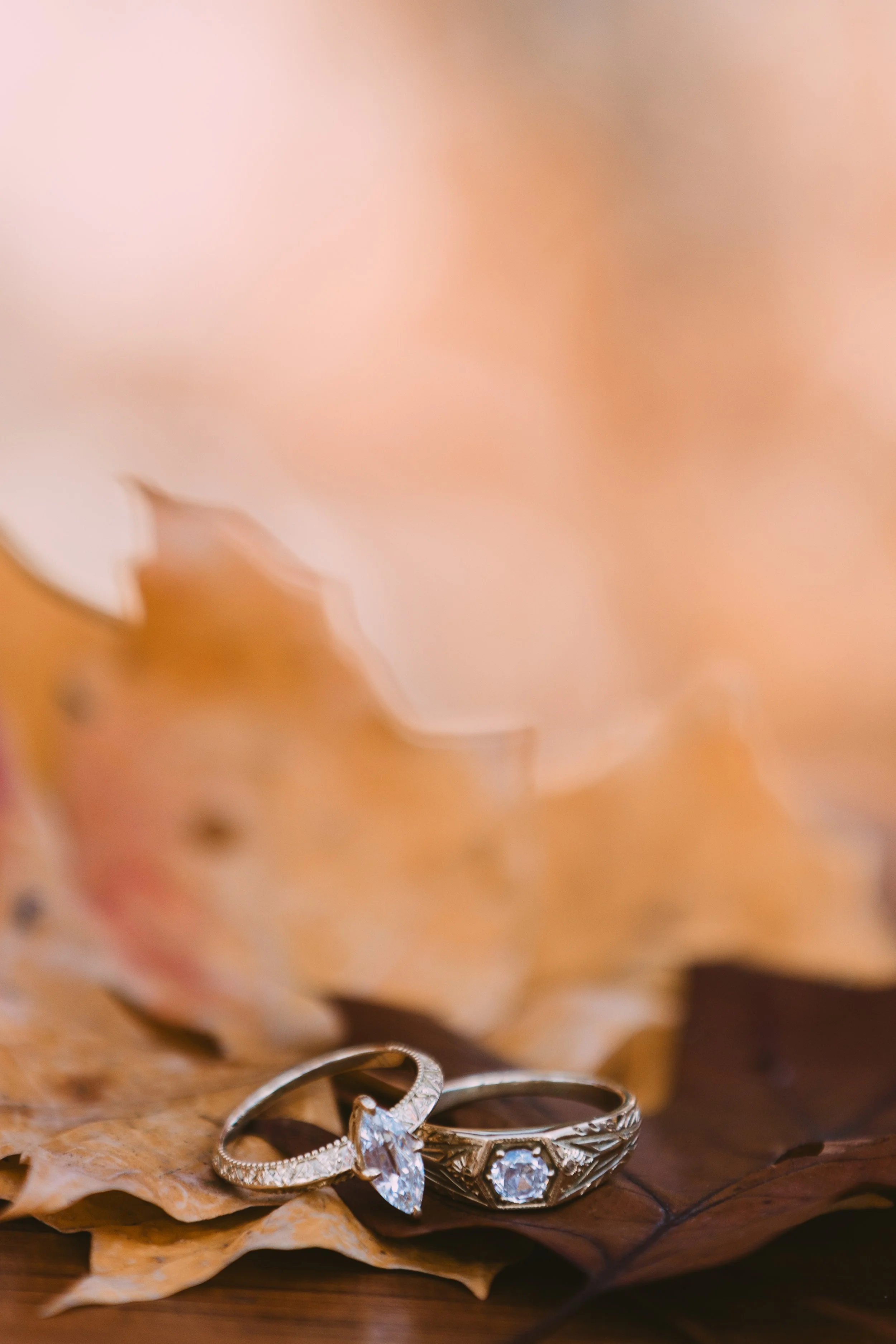 Max + Sav - Sneak Peek | Kaitlyn Johnston Photography-6.jpg