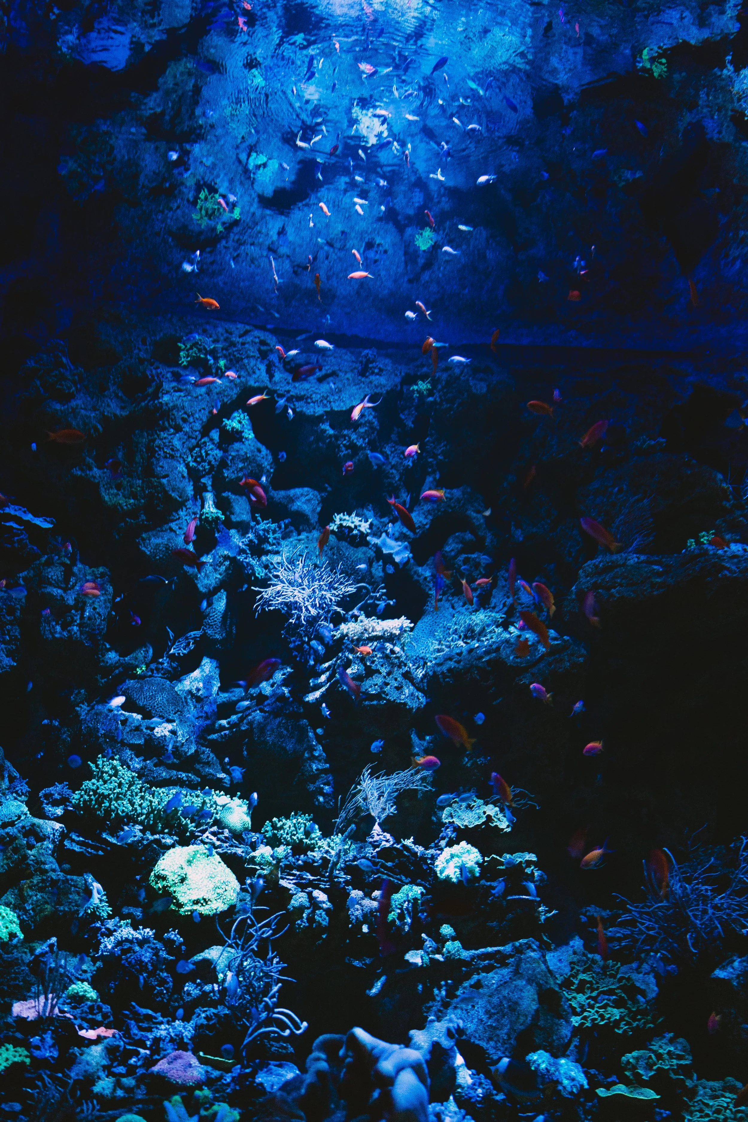 Bryan + Jake - Sneak Peeks _ Kaitlyn Johnston Photography-50.jpg