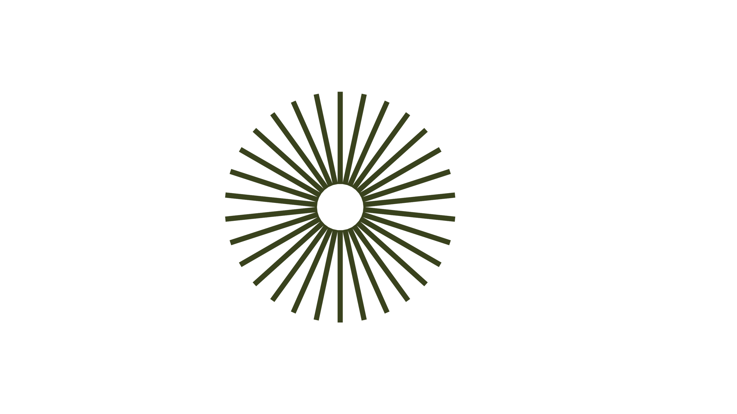 Close-up of a black surface with a central green circular pattern resembling a radiating sunburst or stylized flower.