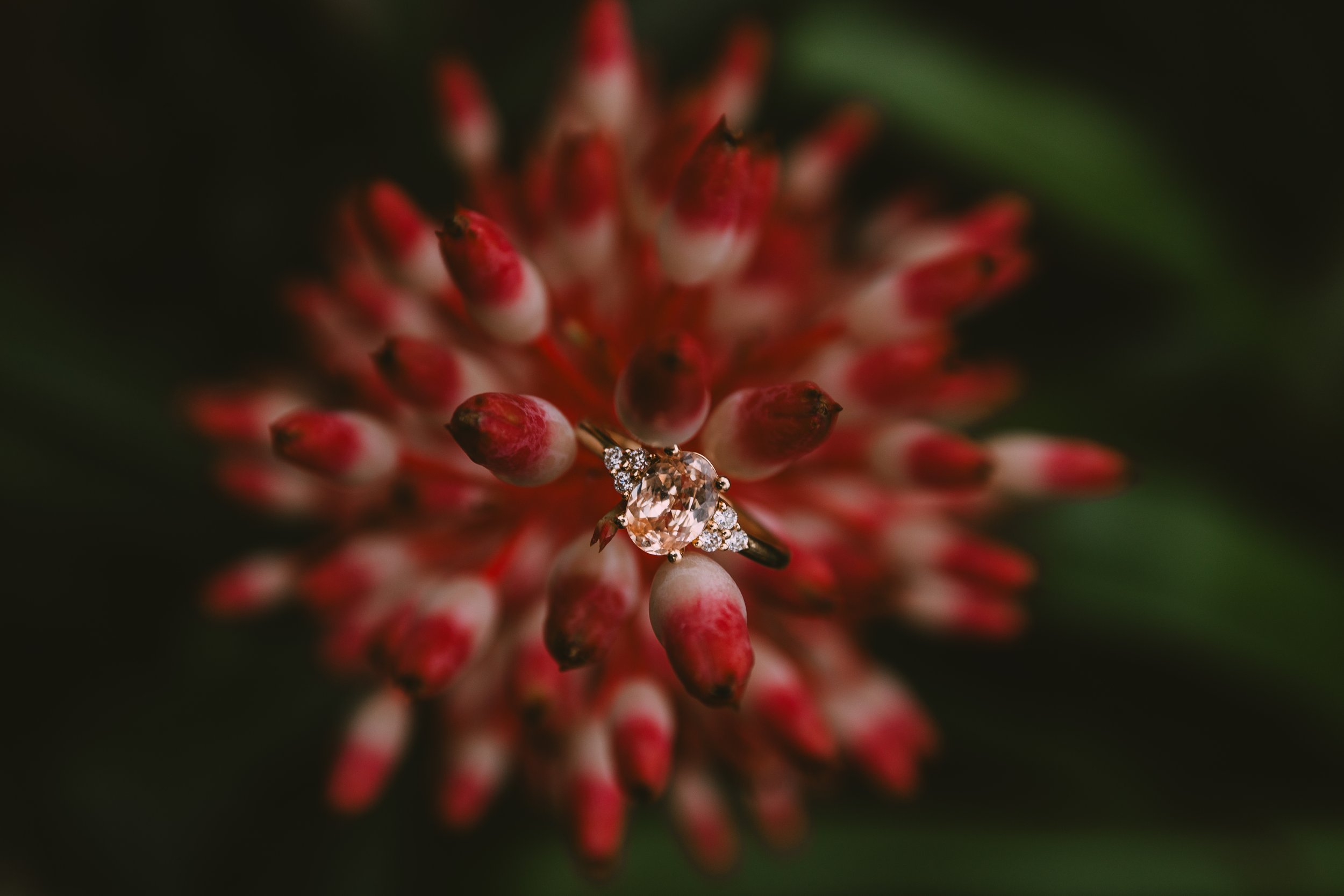 Close-up of a ring with a large, oval diamond and smaller diamonds, placed on a cluster of red and white buds of a tropical flower with green leaves in the background.