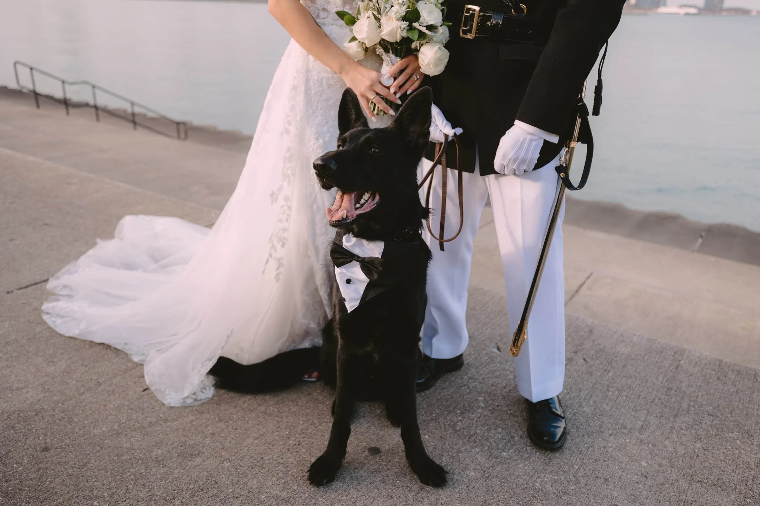 A bride and groom standing by Lake Michigan, with a black police dog dressed in a tuxedo-shaped vest standing in front of them.